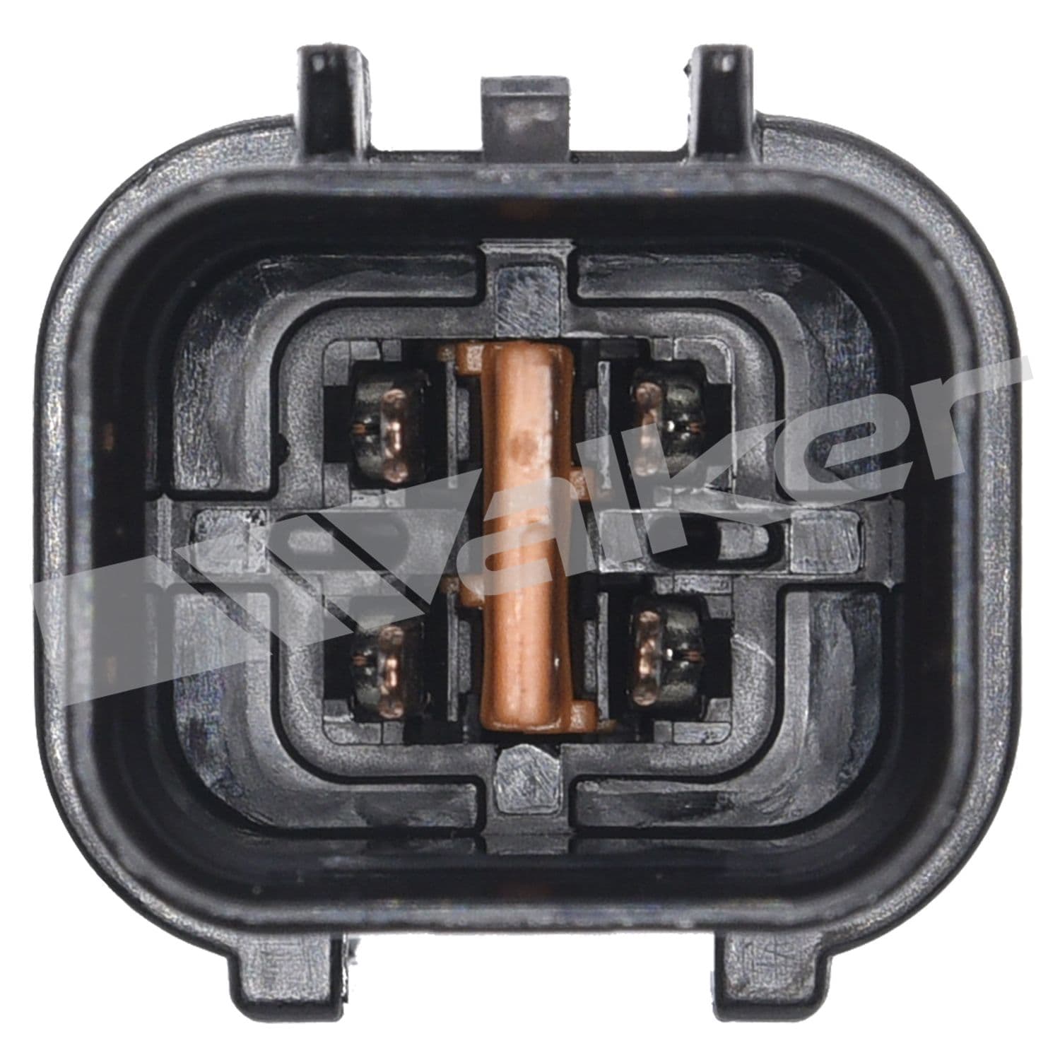 226-250-24916 - Image 4