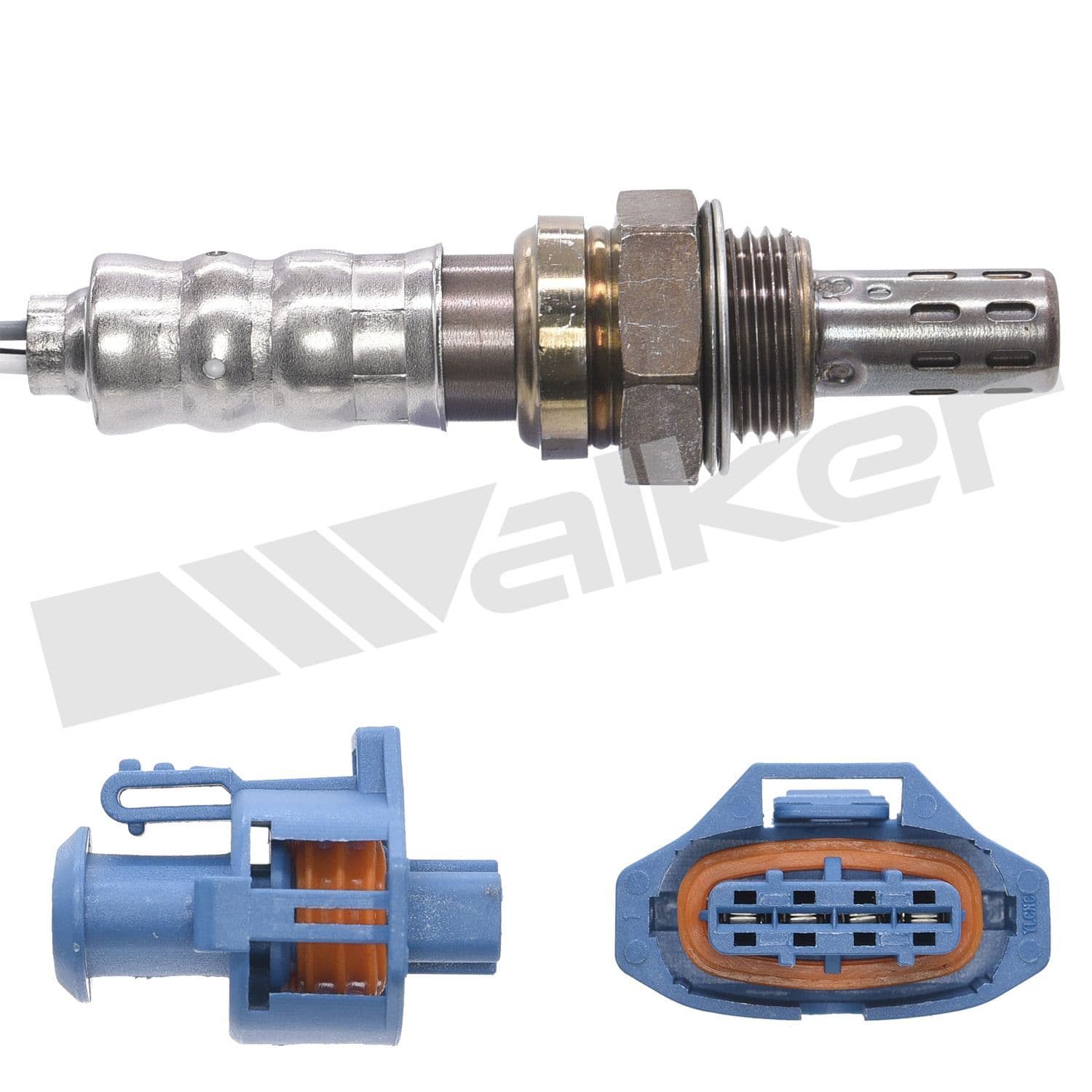 226-250-24765 - Image 2