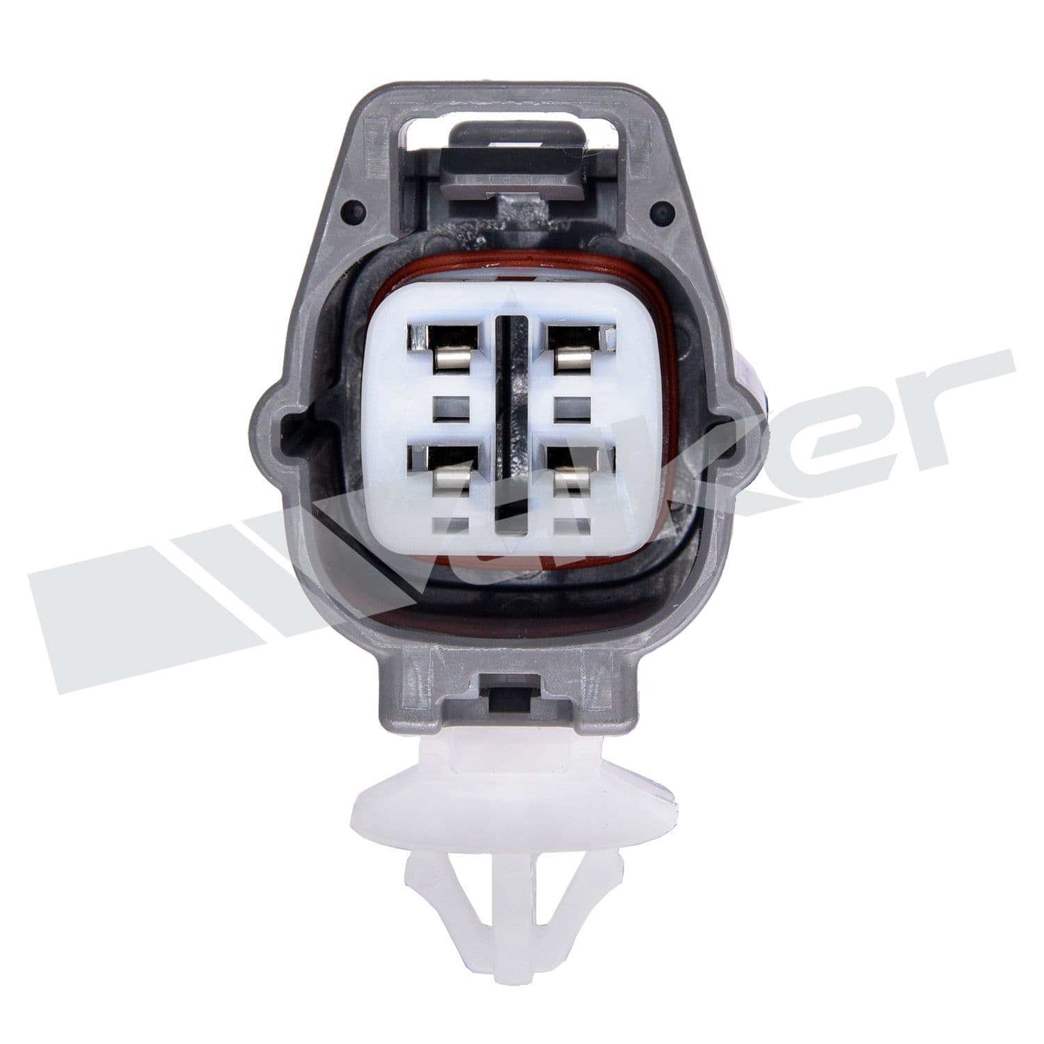 226-250-24837 - Image 3