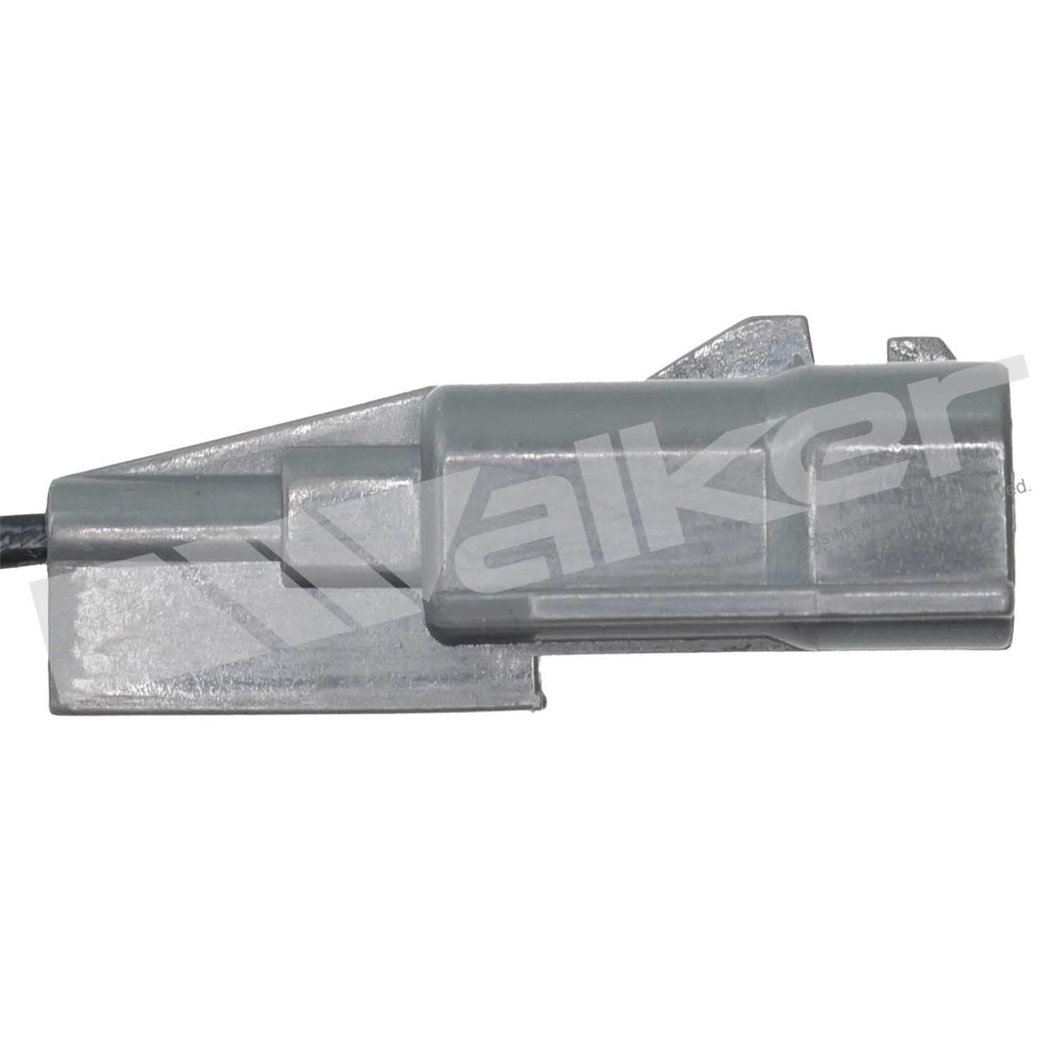 226-250-241315 - Image 4