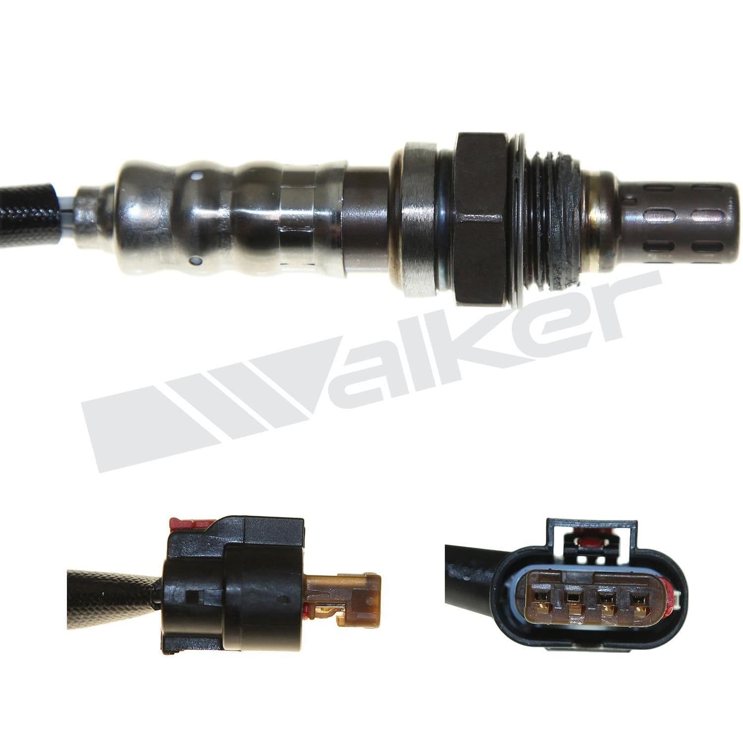 226-250-241183 - Image 3