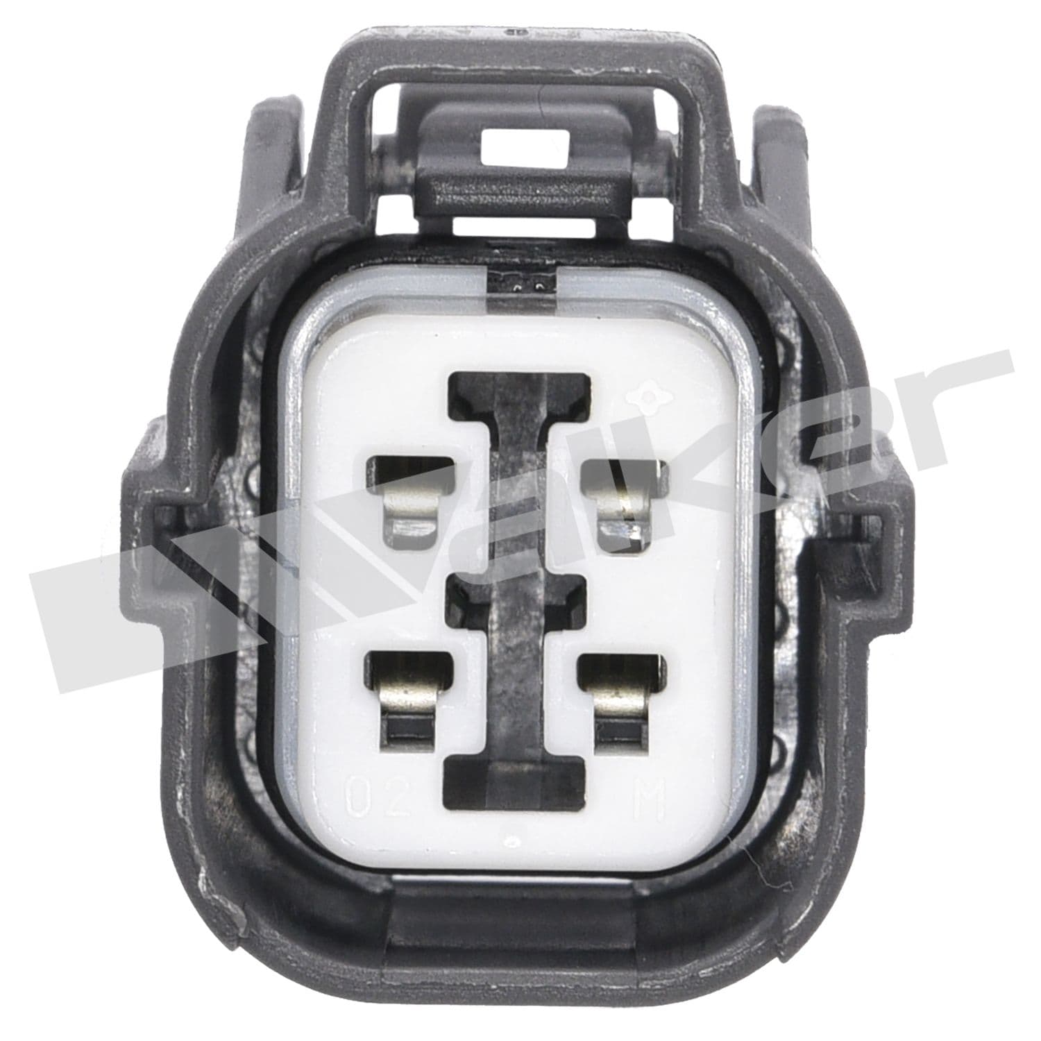 226-250-24343 - Image 2