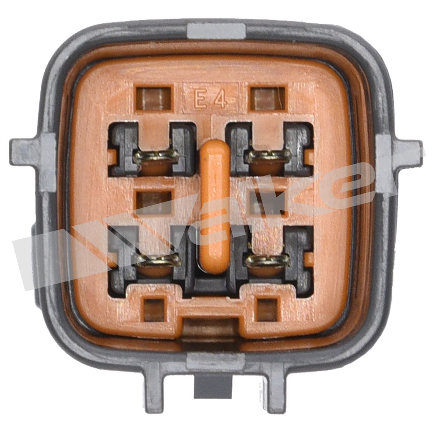 226-250-24376 - Image 3