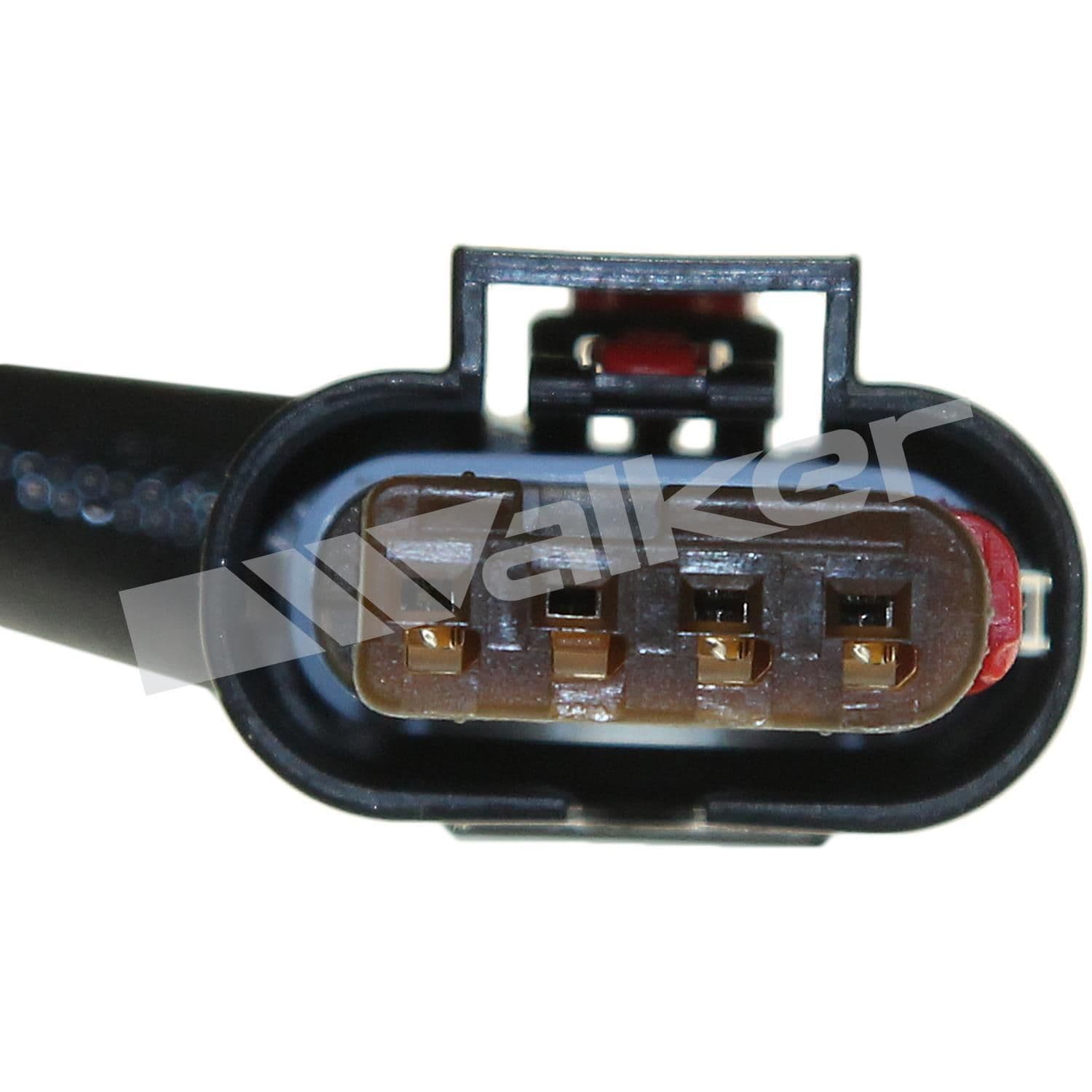 226-250-241183 - Image 4