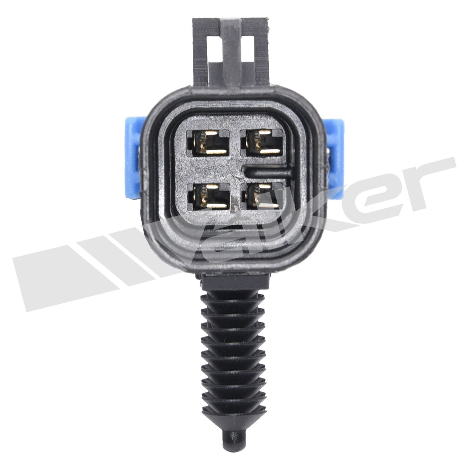 226-250-24324 - Image 2