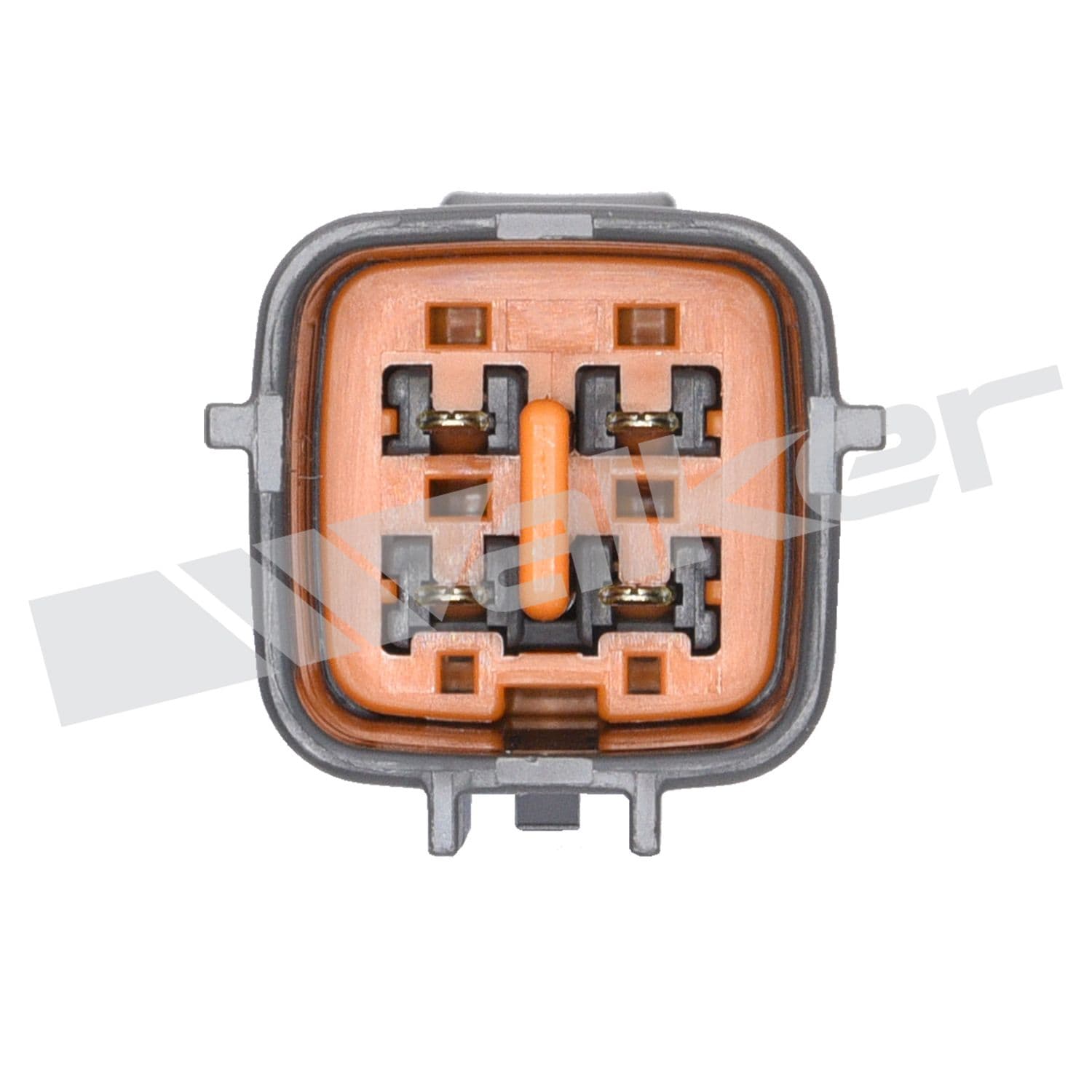 226-250-24086 - Image 4