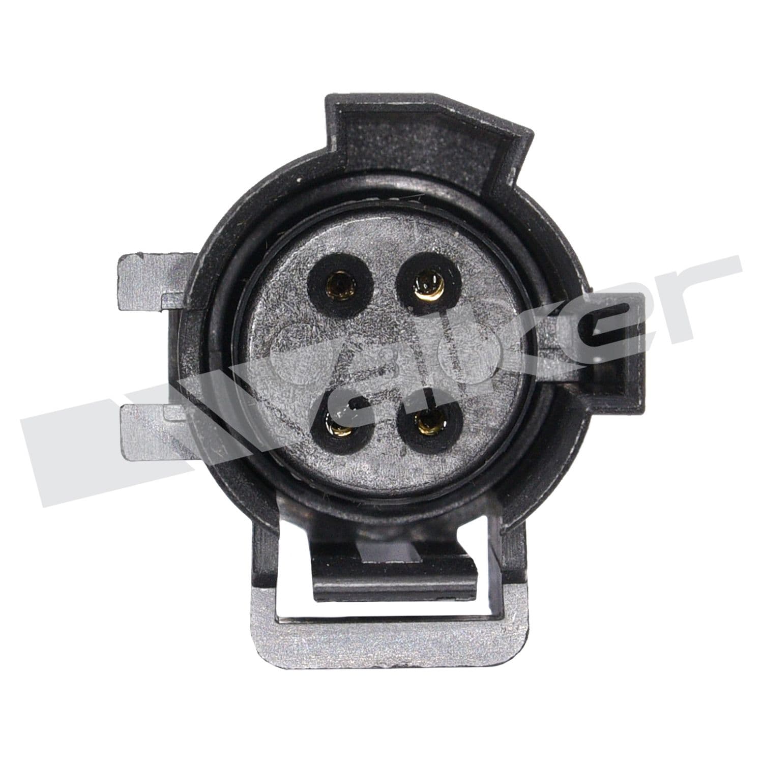 226-250-24081 - Image 3