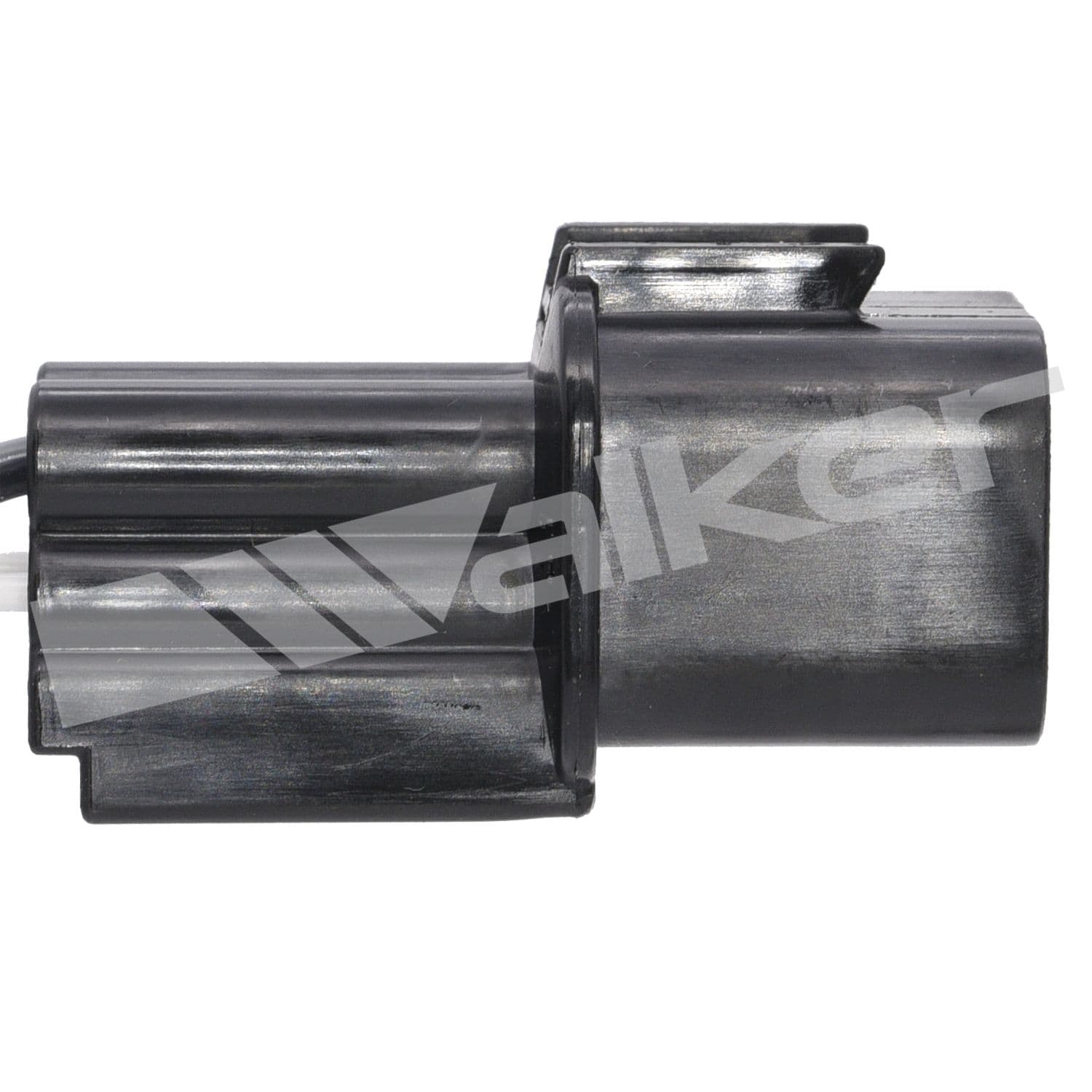 226-250-24462 - Image 4