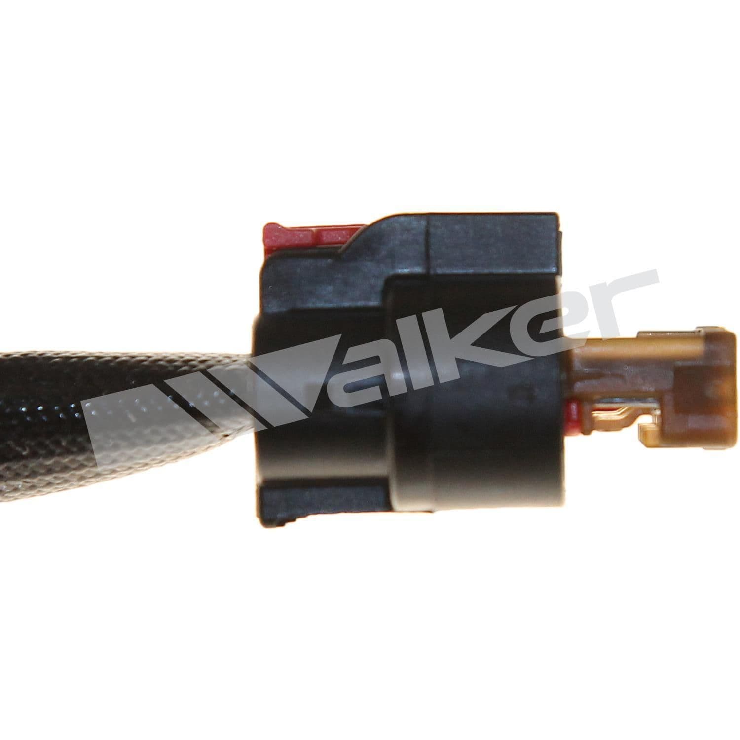 226-250-241199 - Image 3