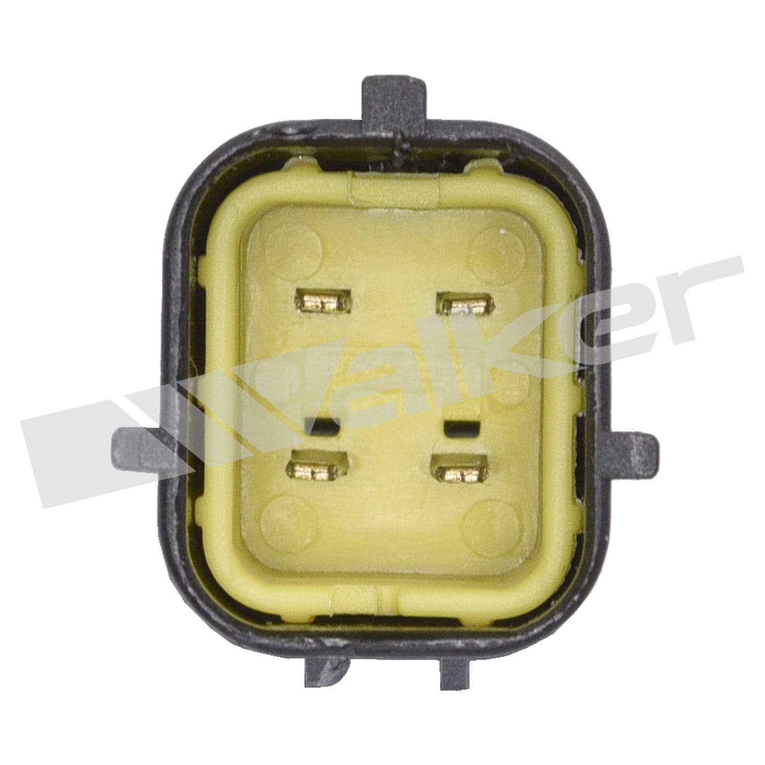 226-250-24293 - Image 2