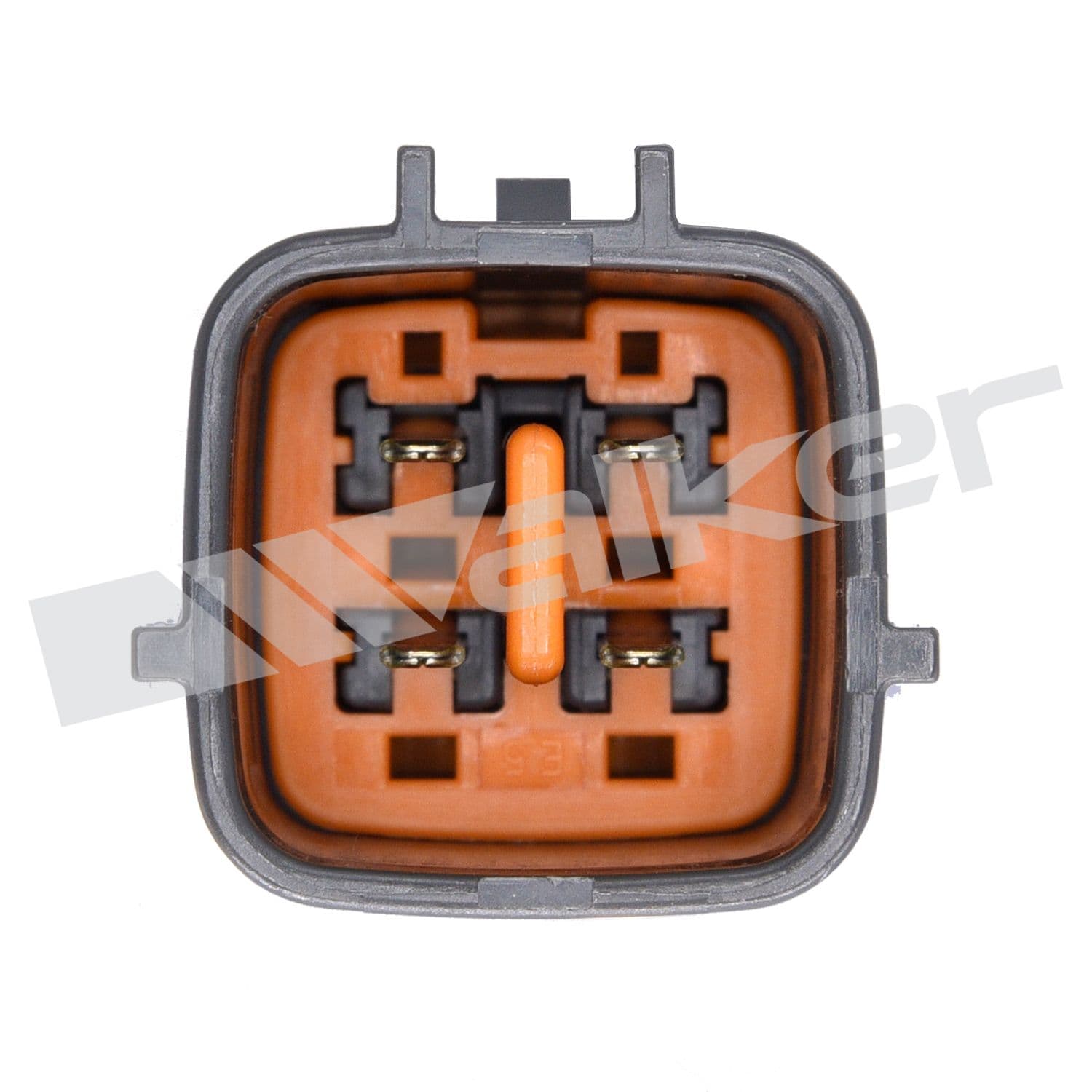 226-250-24872 - Image 4