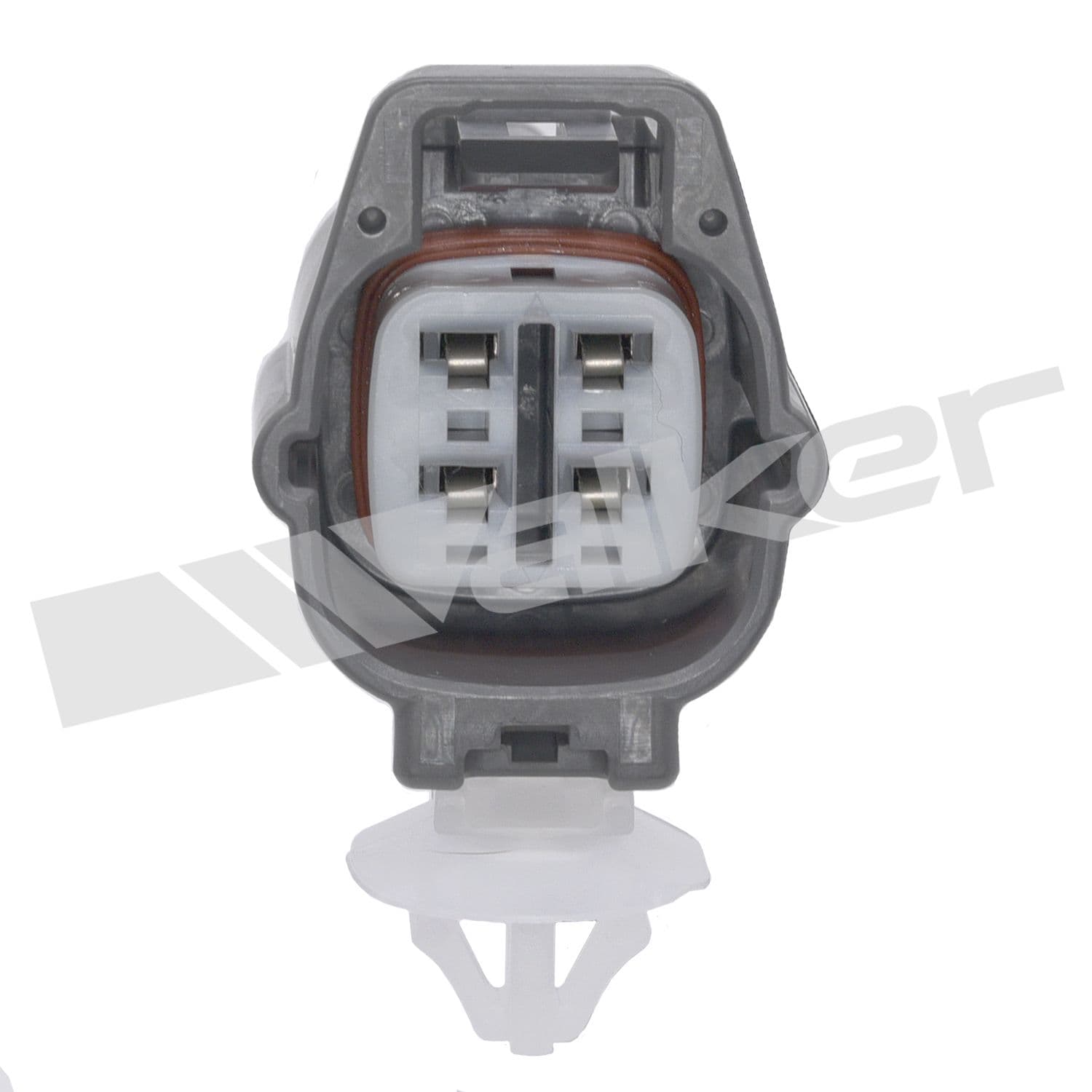 226-250-24644 - Image 2