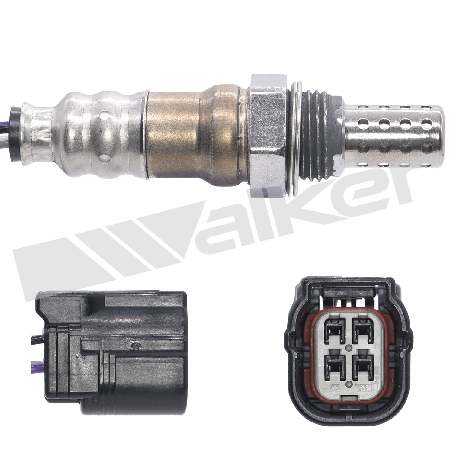 226-250-24798 - Image 3