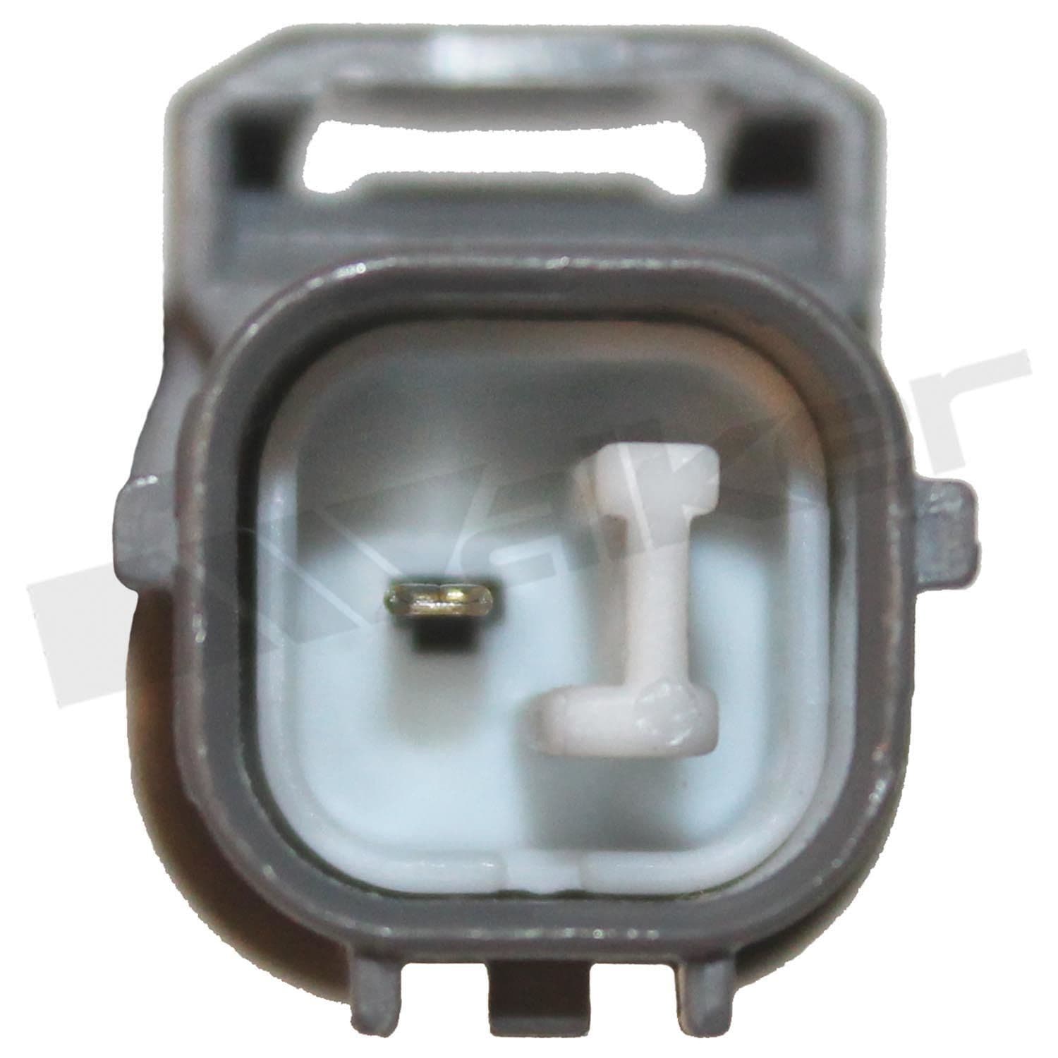 226-350-31002 - Image 3