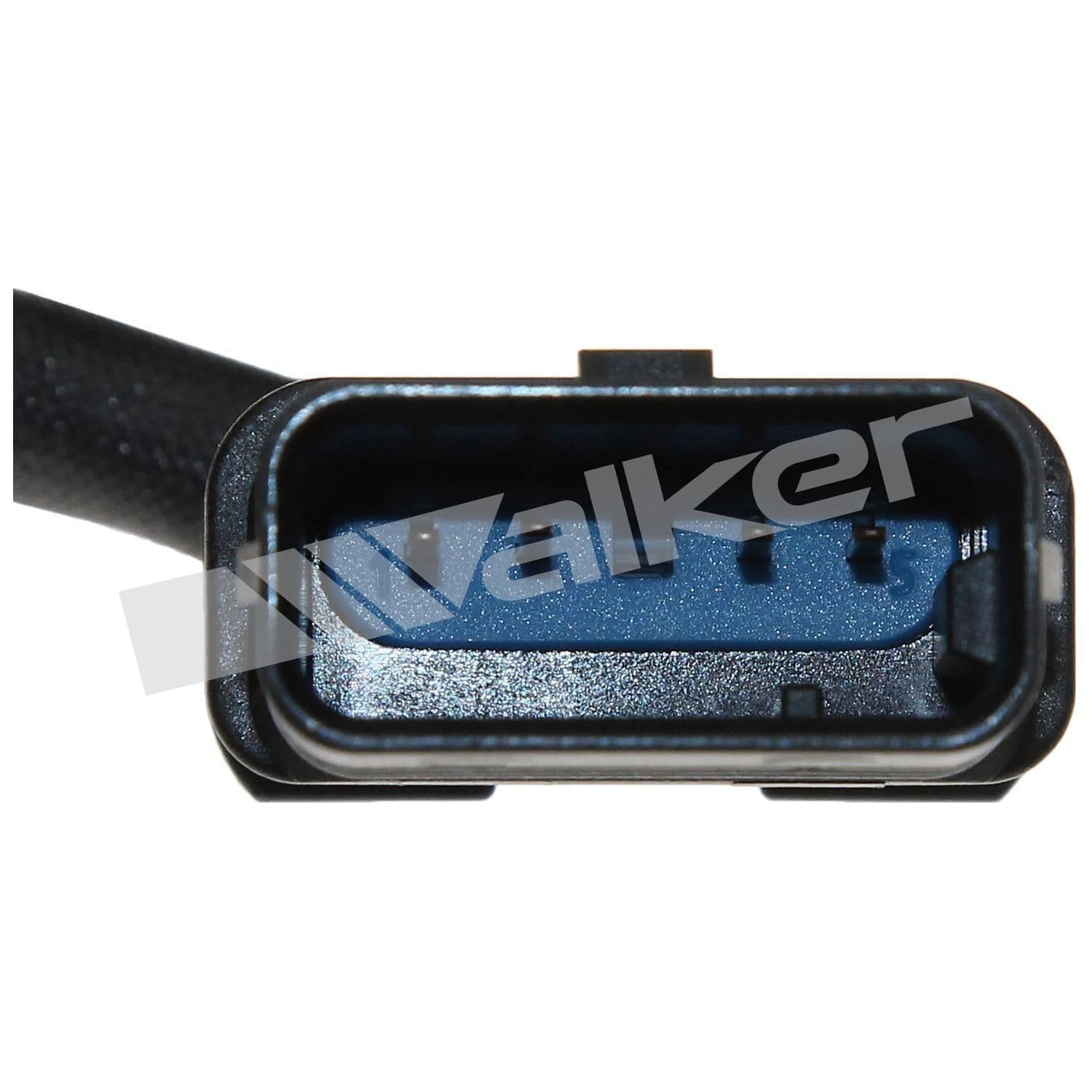 226-250-241192 - Image 4