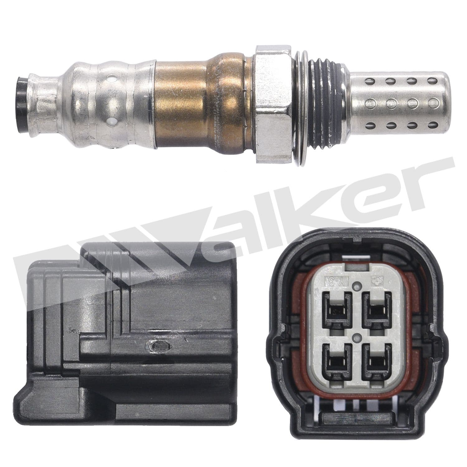 226-250-241208 - Image 4