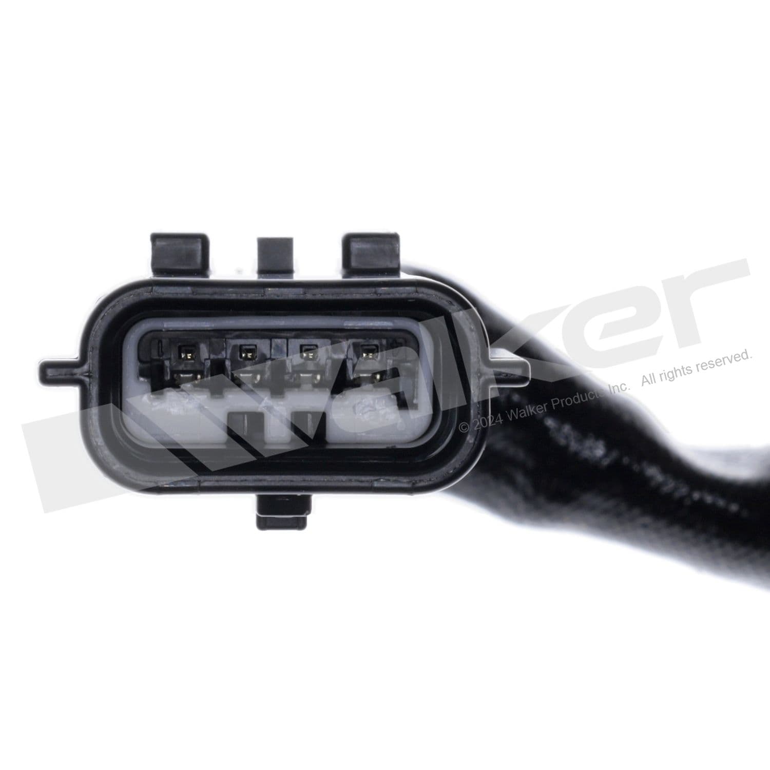 226-250-54132 - Image 2