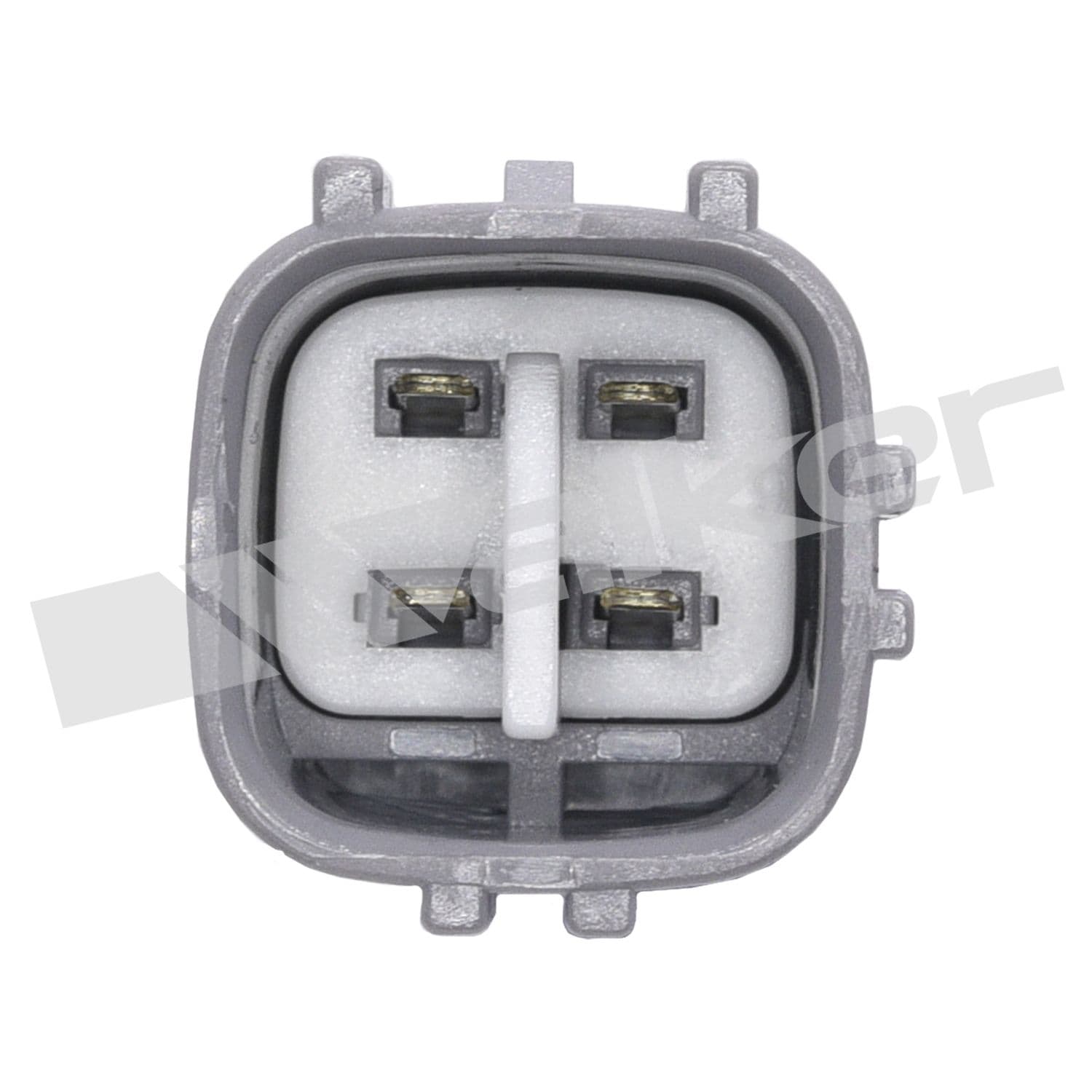 226-250-24623 - Image 2