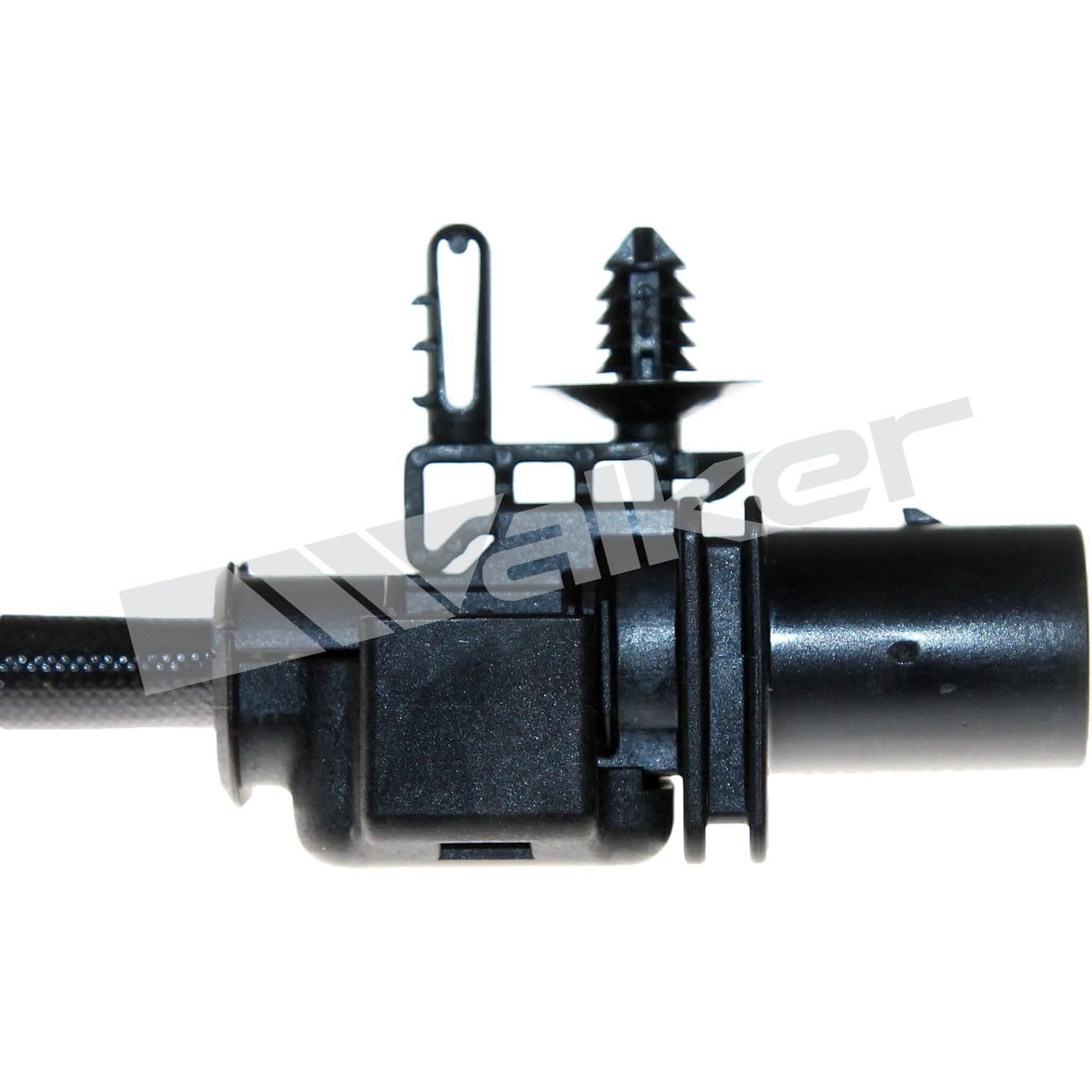 226-250-25077 - Image 2