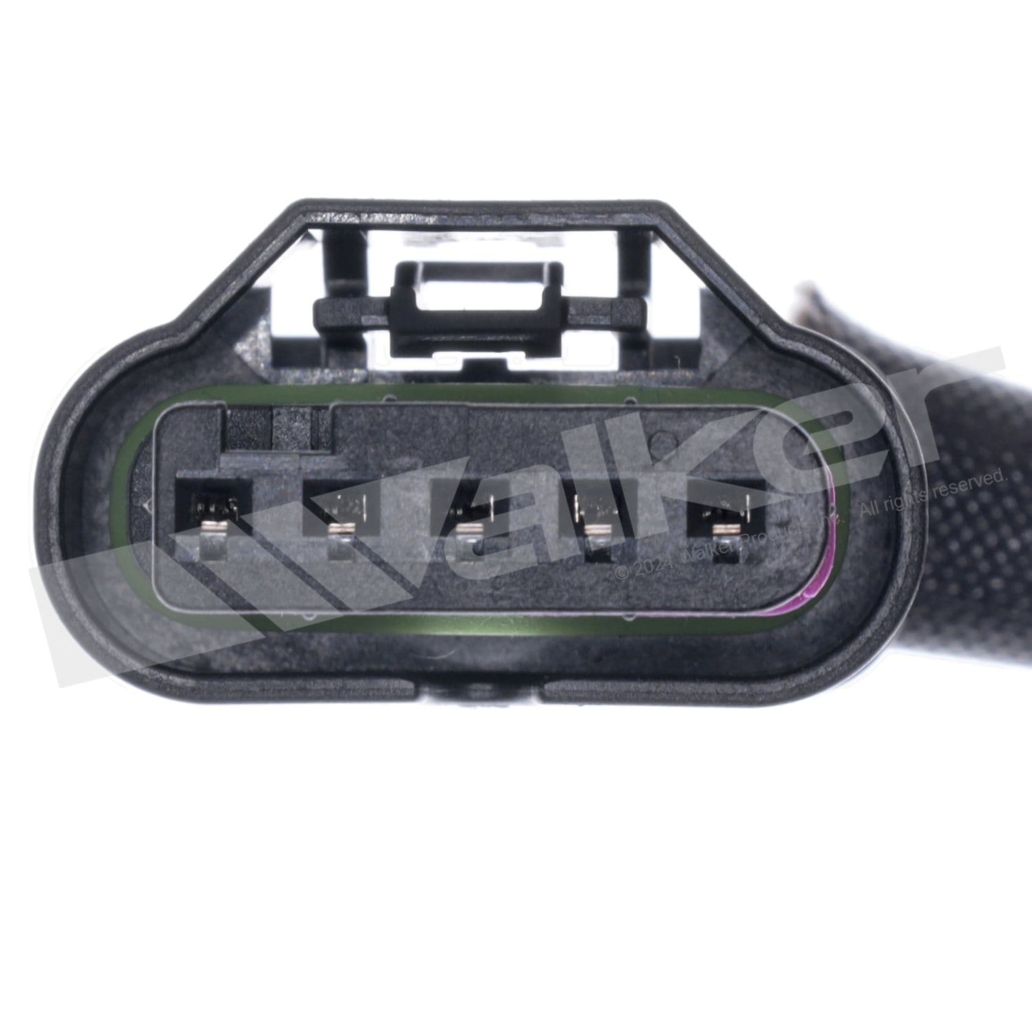 226-250-25174 - Image 4