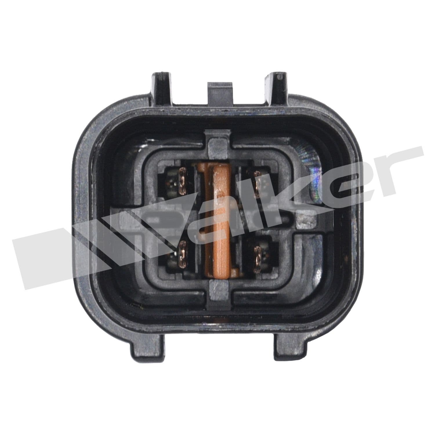 226-250-24849 - Image 2