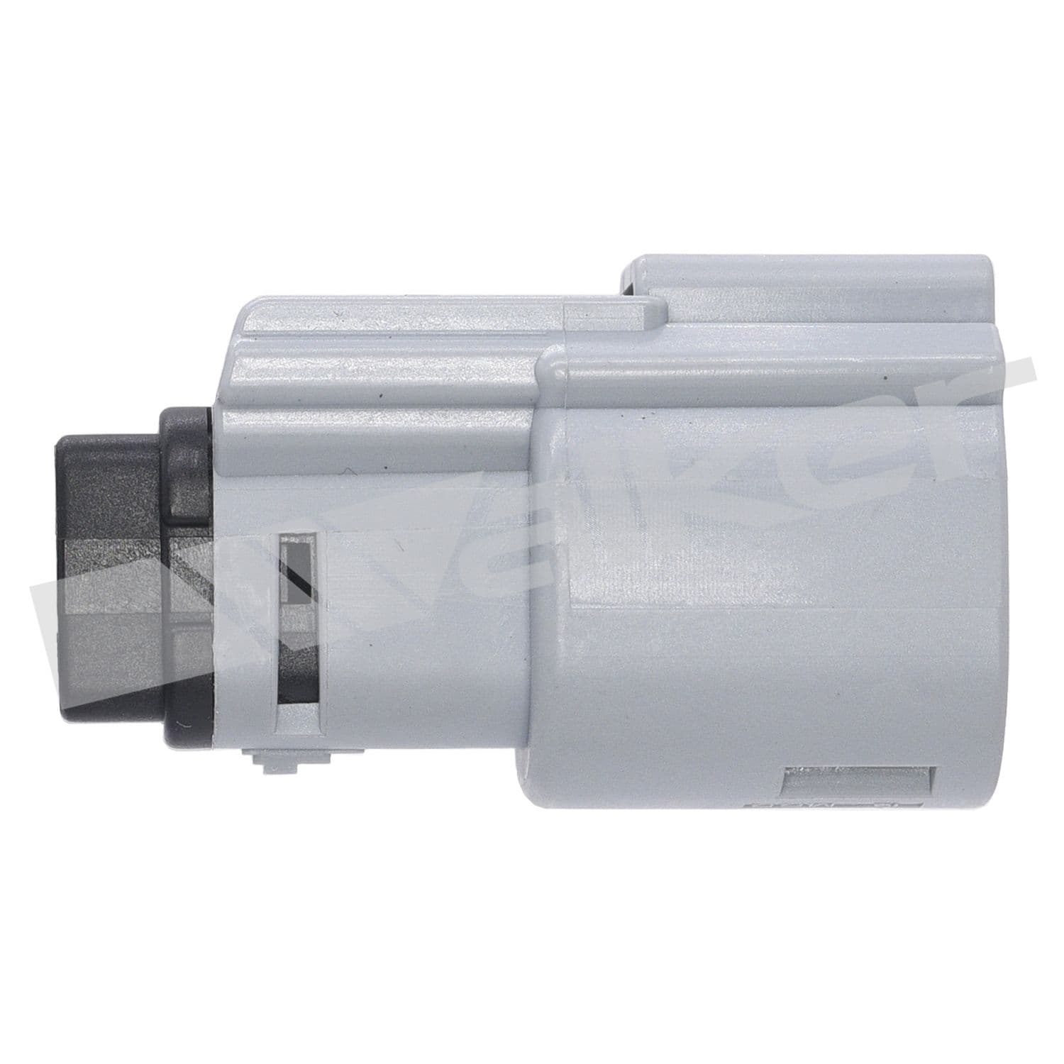 226-250-241221 - Image 2