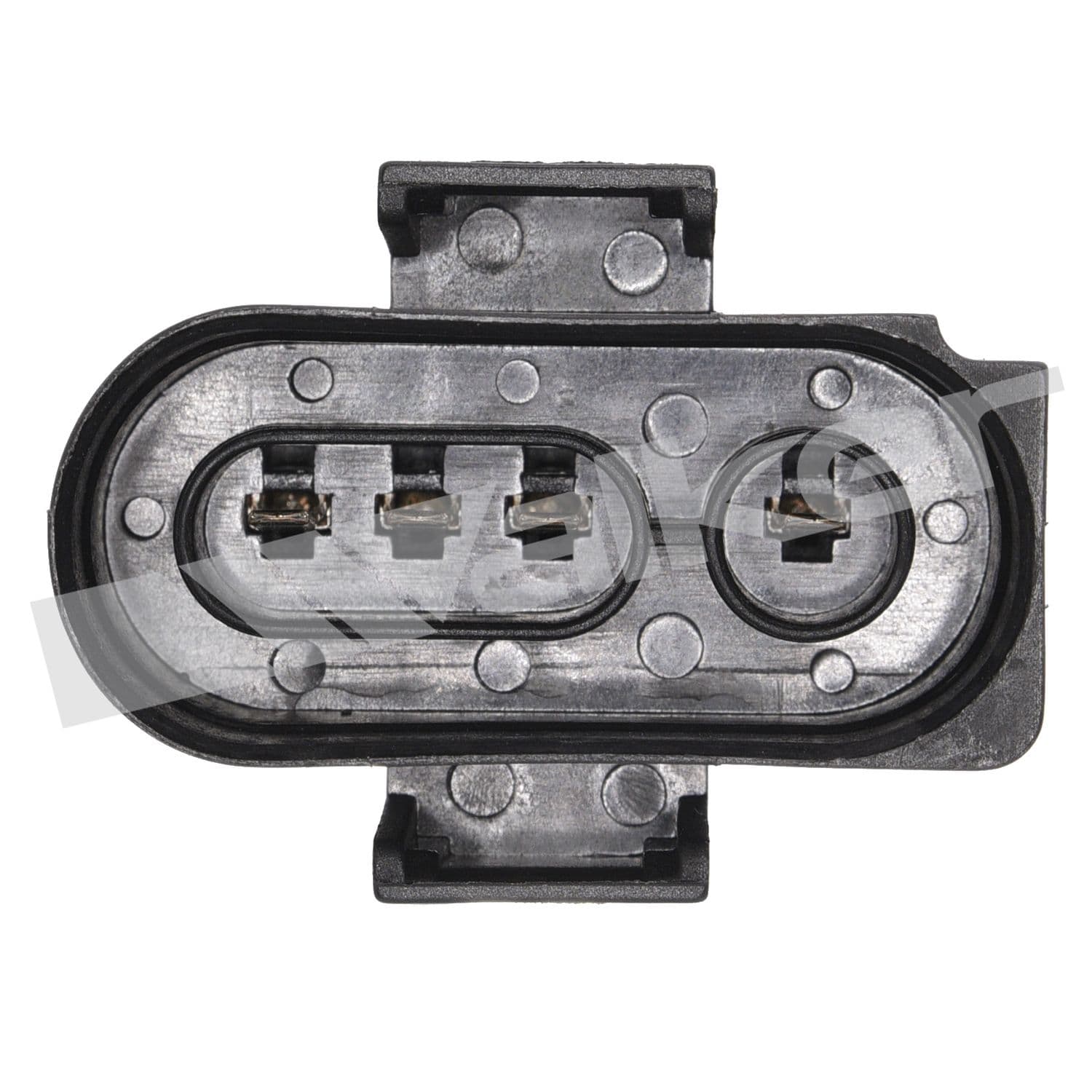 226-250-24174 - Image 4