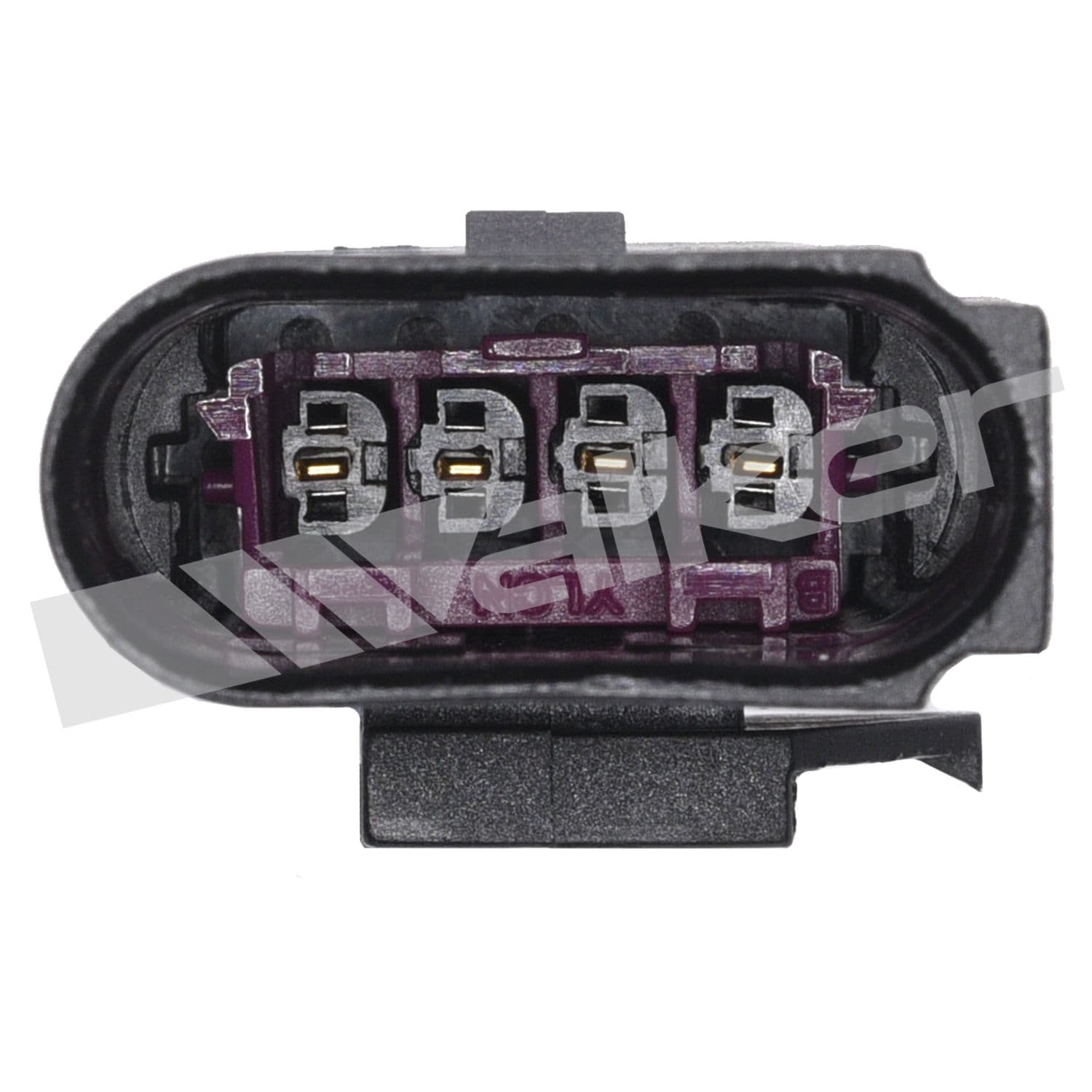 226-250-24670 - Image 3