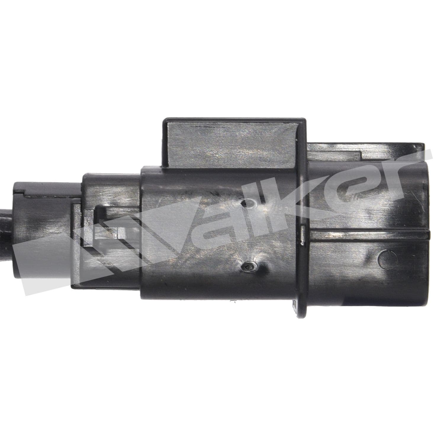 226-250-24436 - Image 3