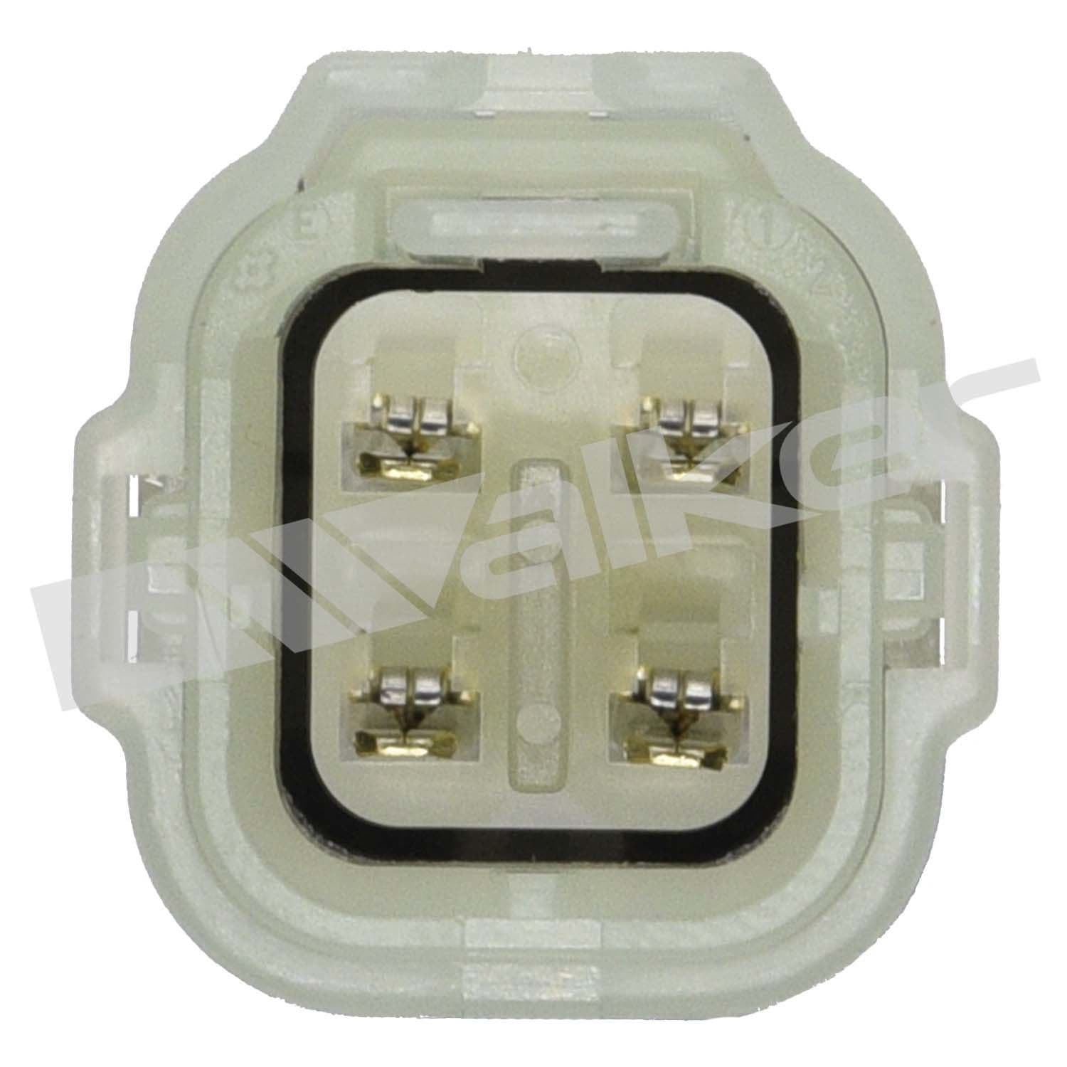 226-250-241115 - Image 2