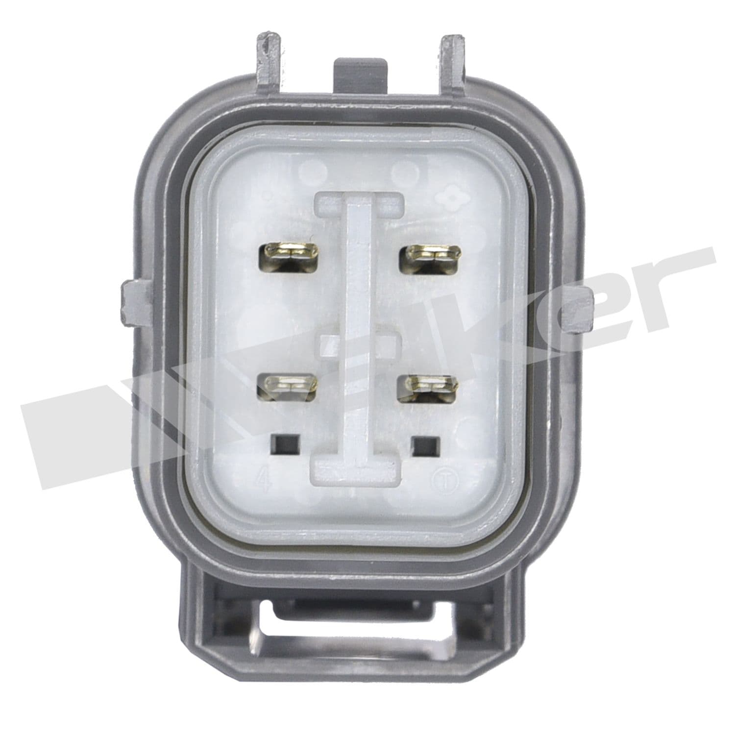 226-250-24346 - Image 4