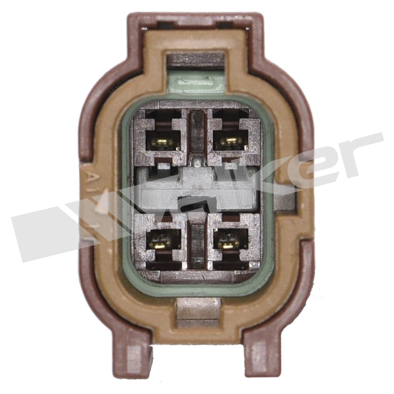 226-250-24499 - Image 4