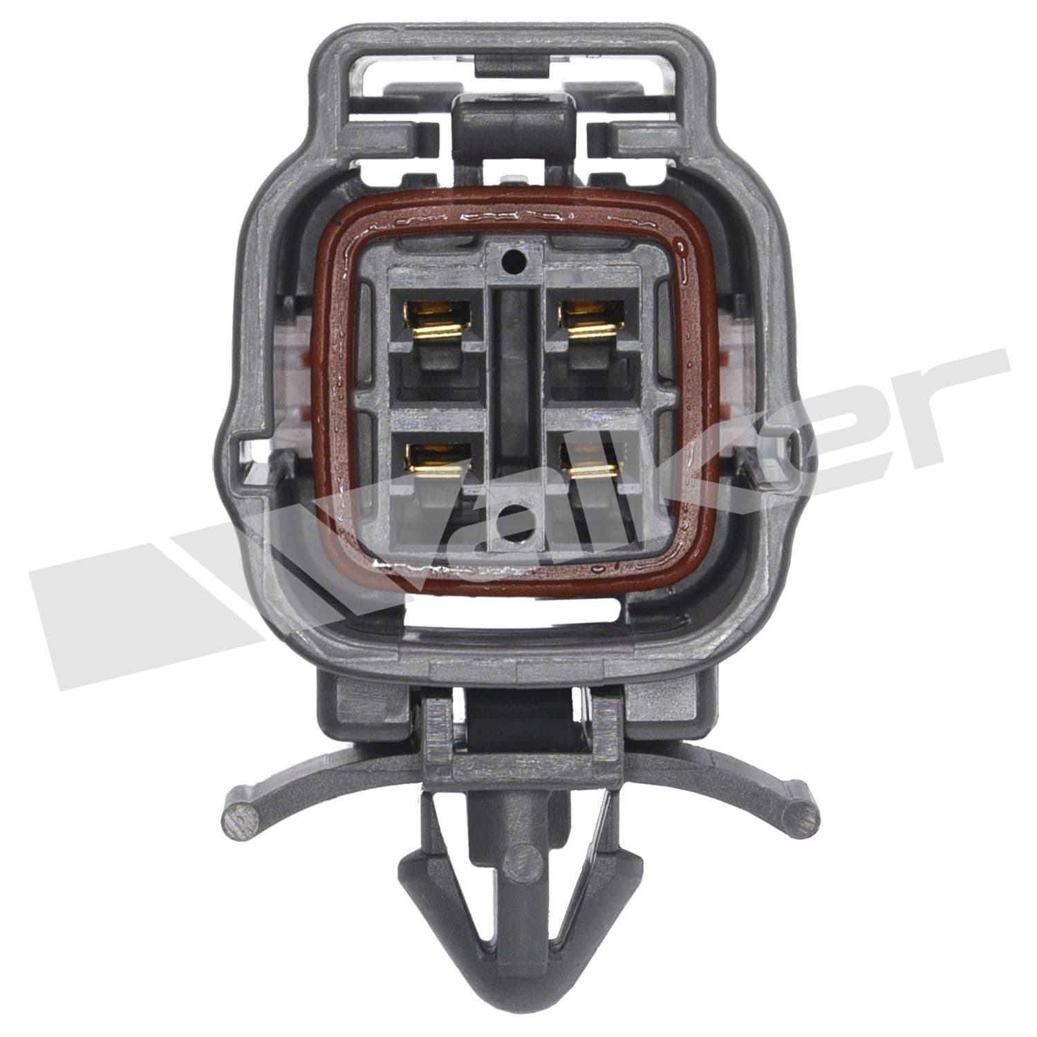 226-250-24782 - Image 2