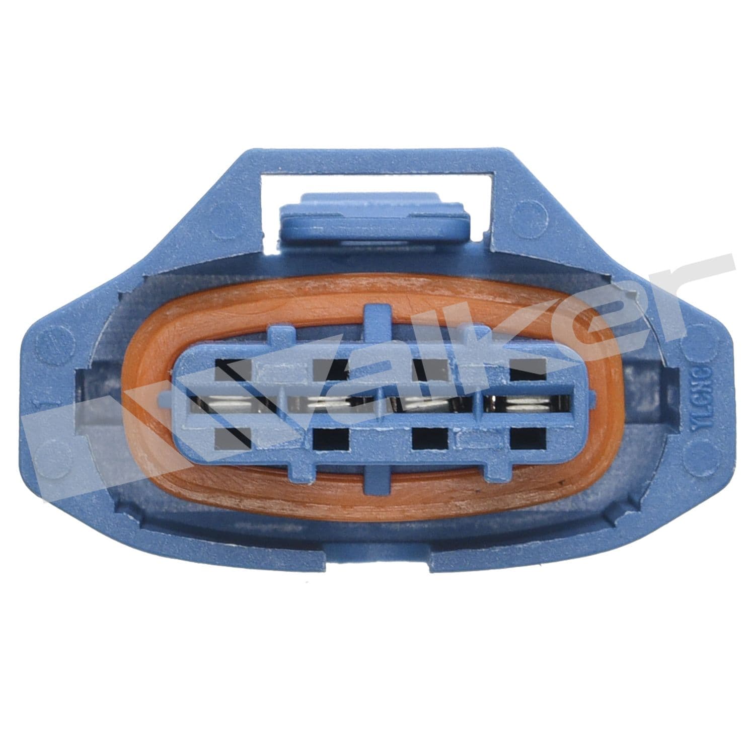 226-250-24765 - Image 3