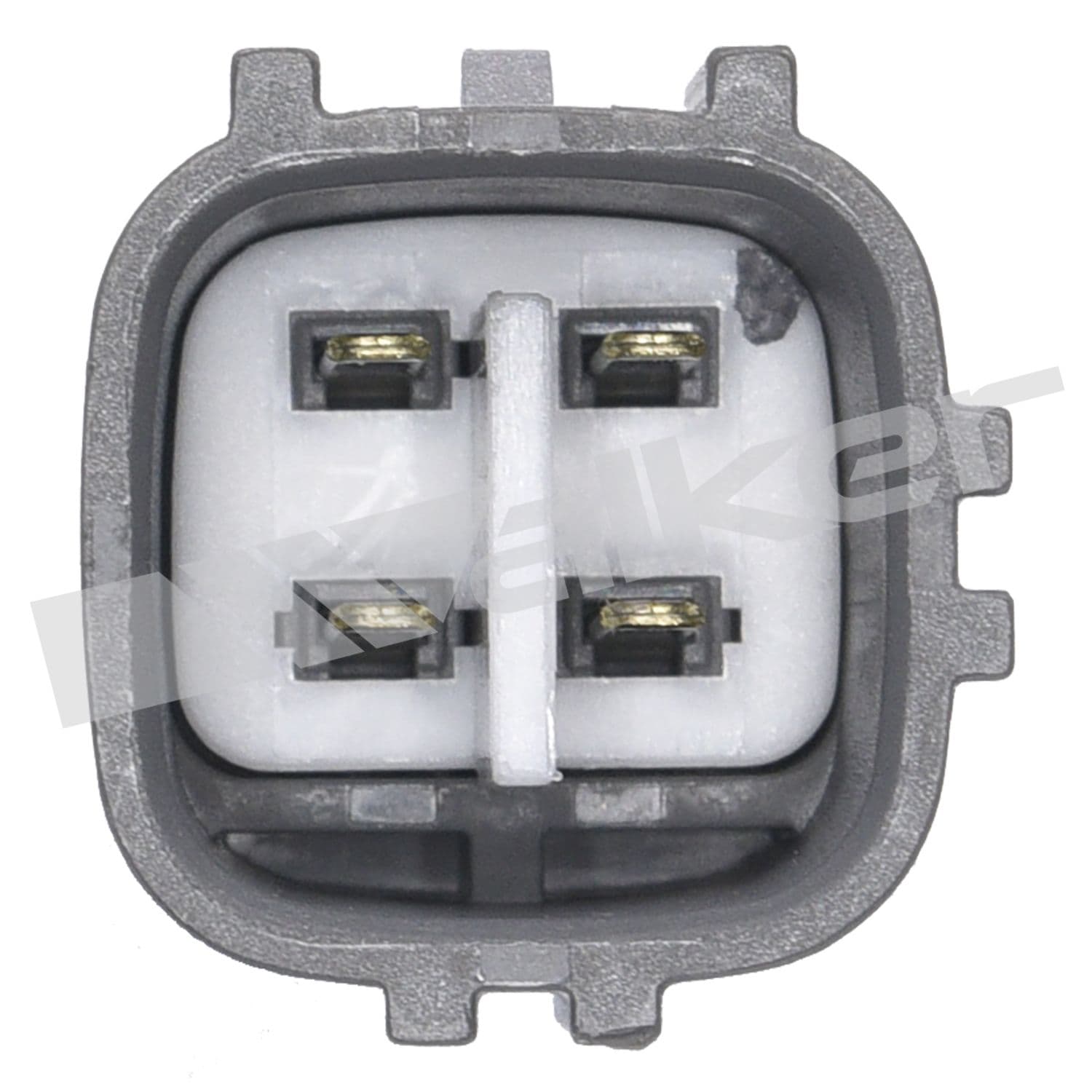 226-250-24906 - Image 3