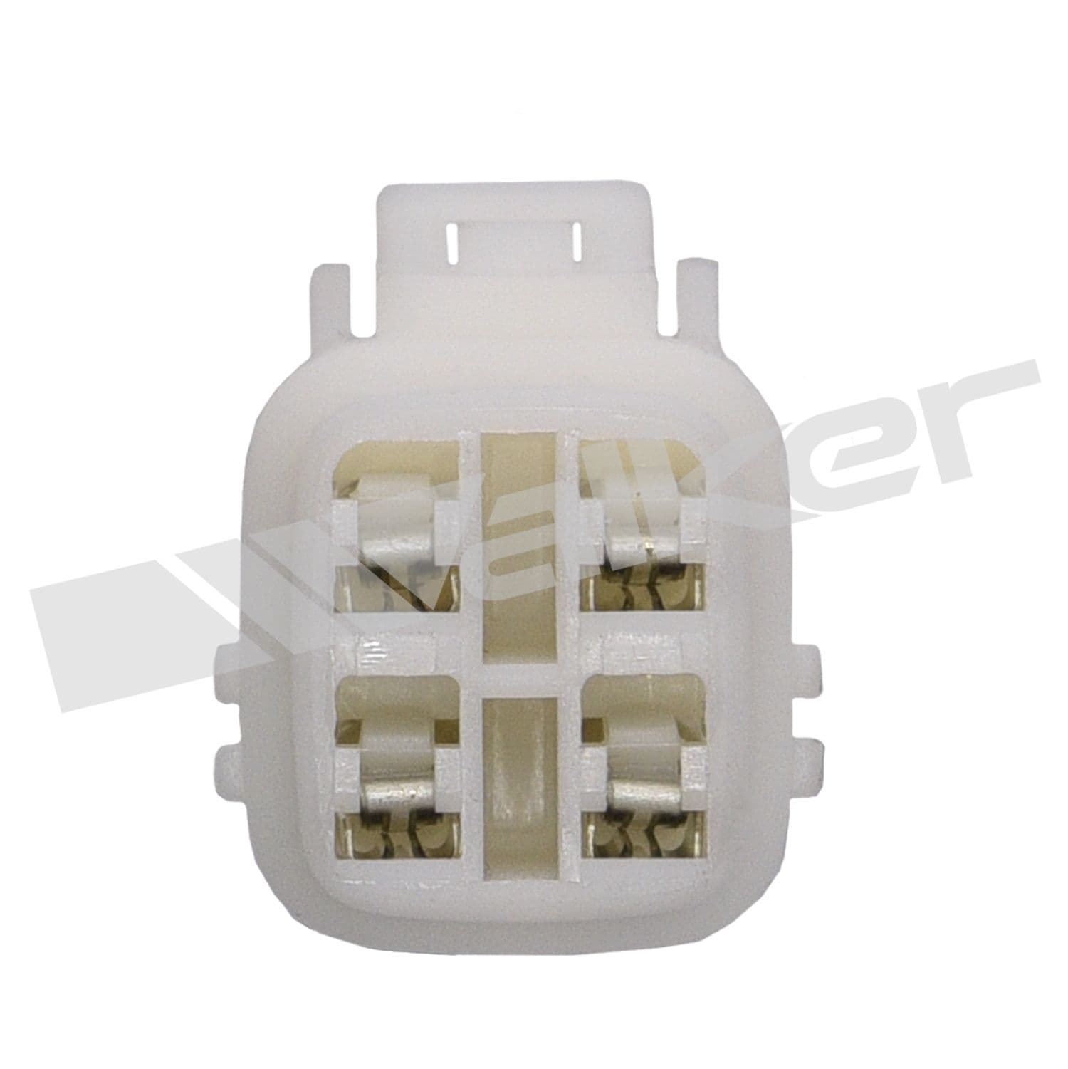 226-250-24508 - Image 3