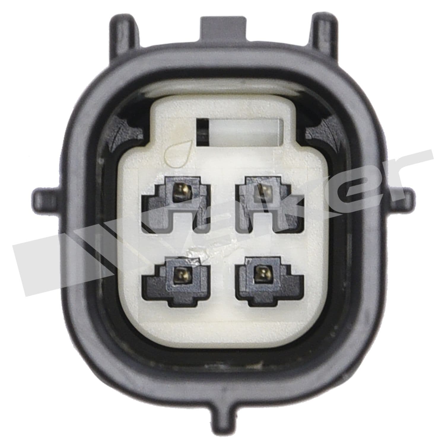 226-350-341095 - Image 3