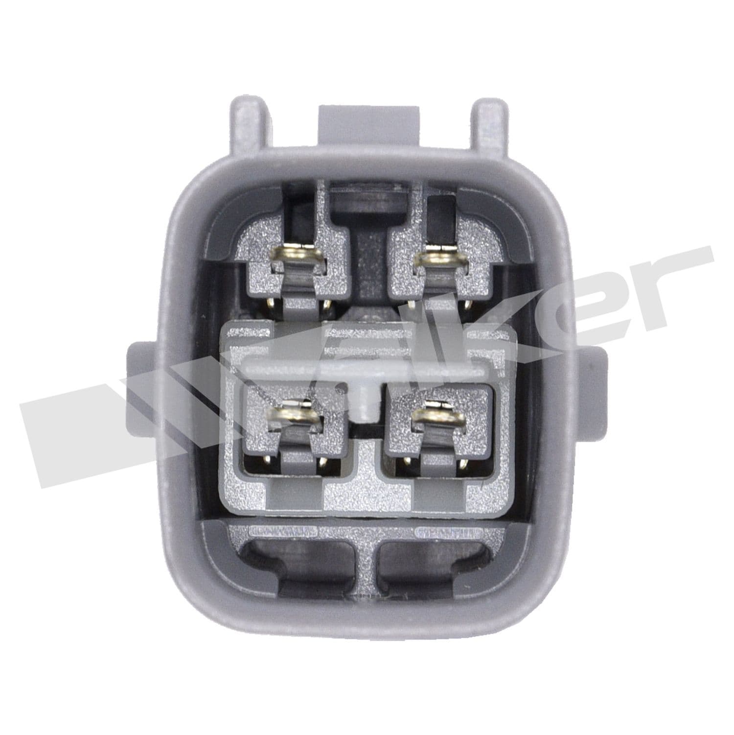 226-250-24157 - Image 4