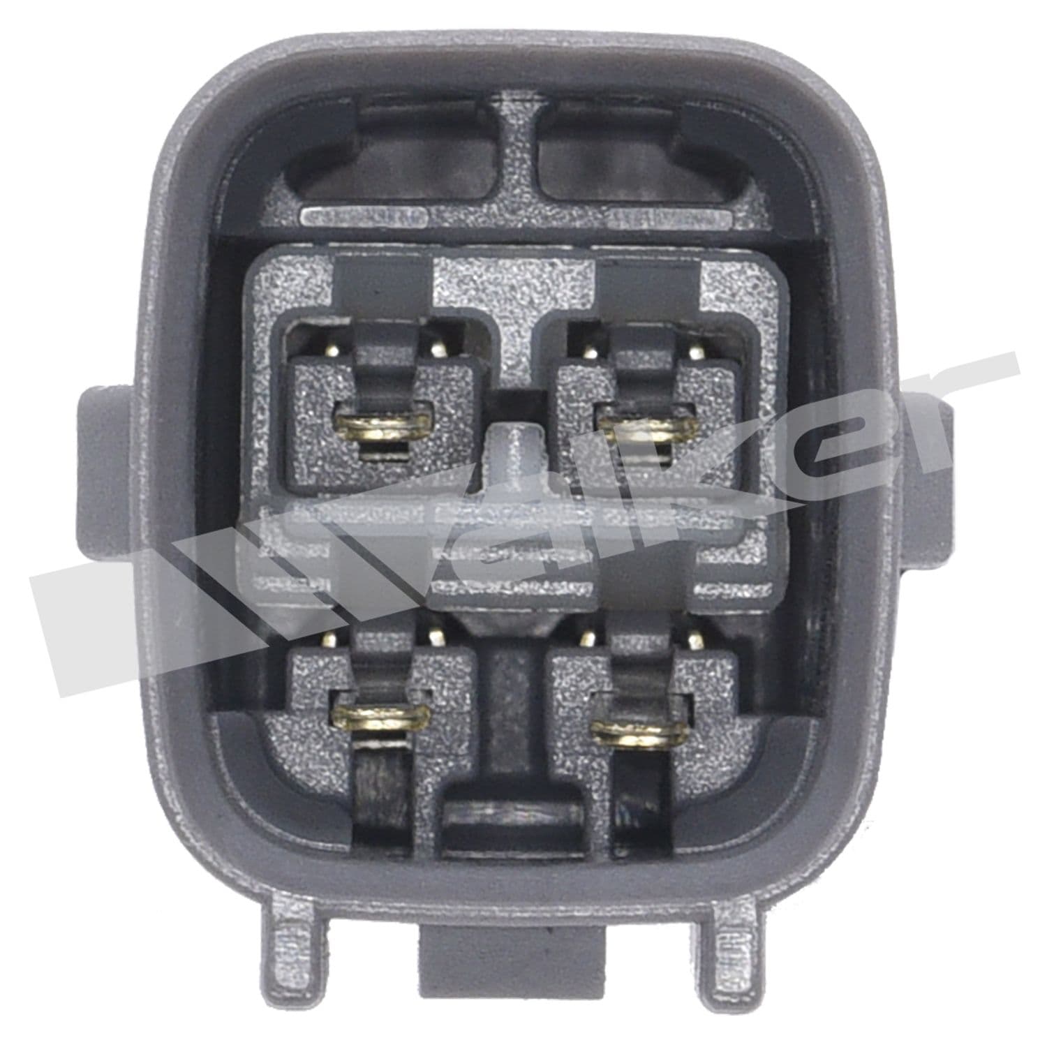 226-250-24777 - Image 3