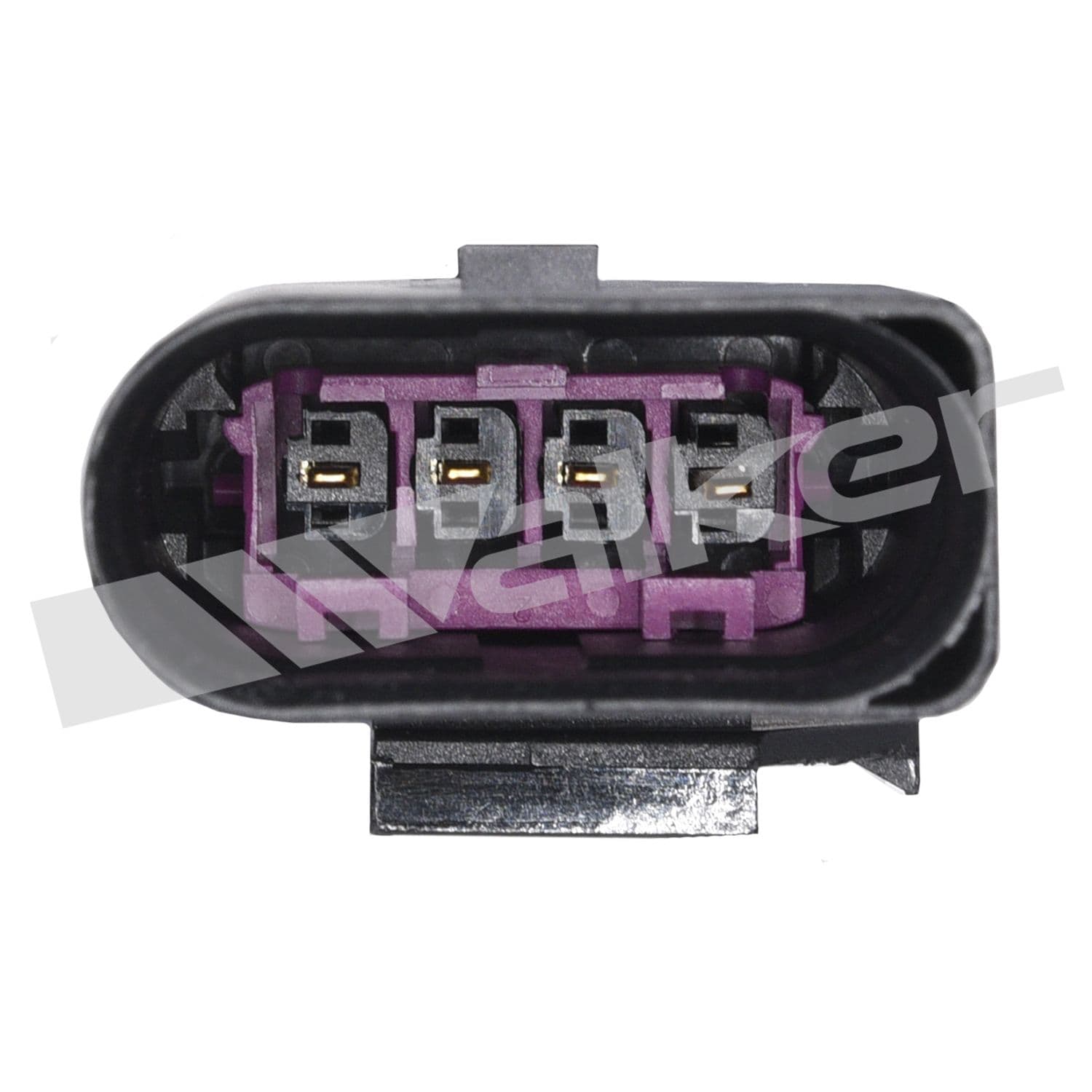 226-250-24669 - Image 4