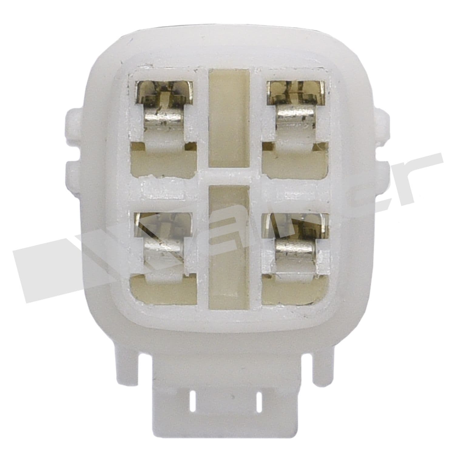 226-250-54079 - Image 2