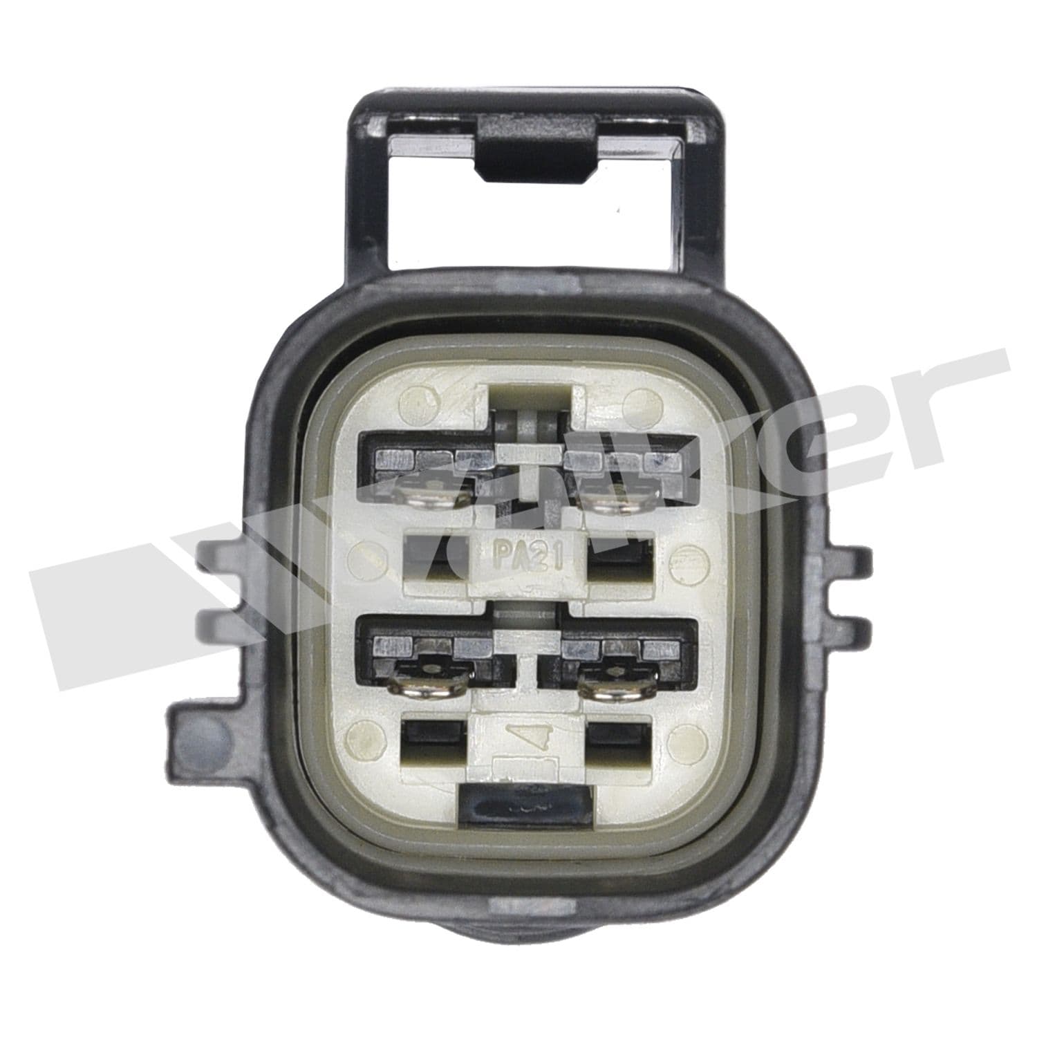 226-250-24744 - Image 4