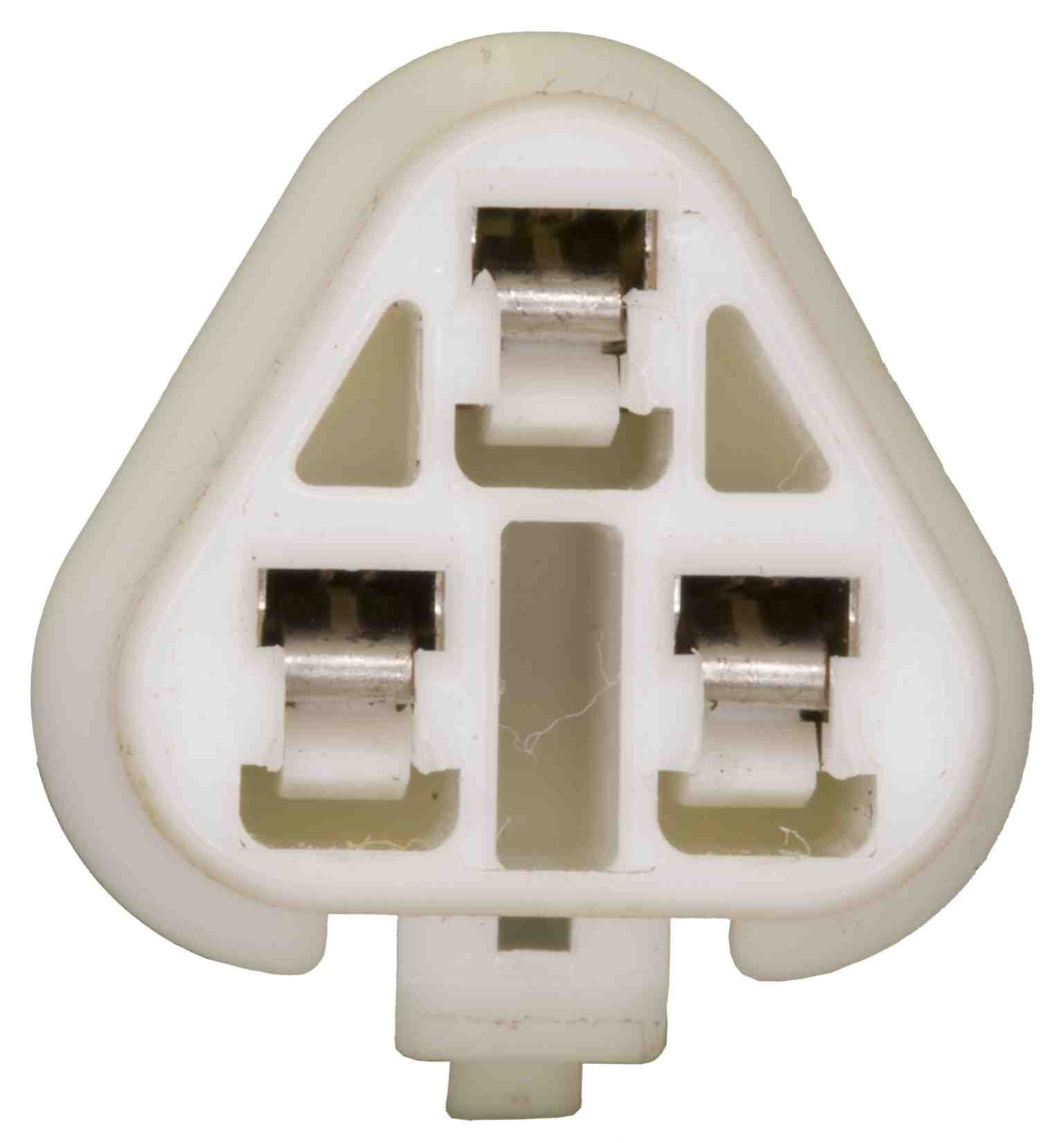 428-TH0175 - Image 3