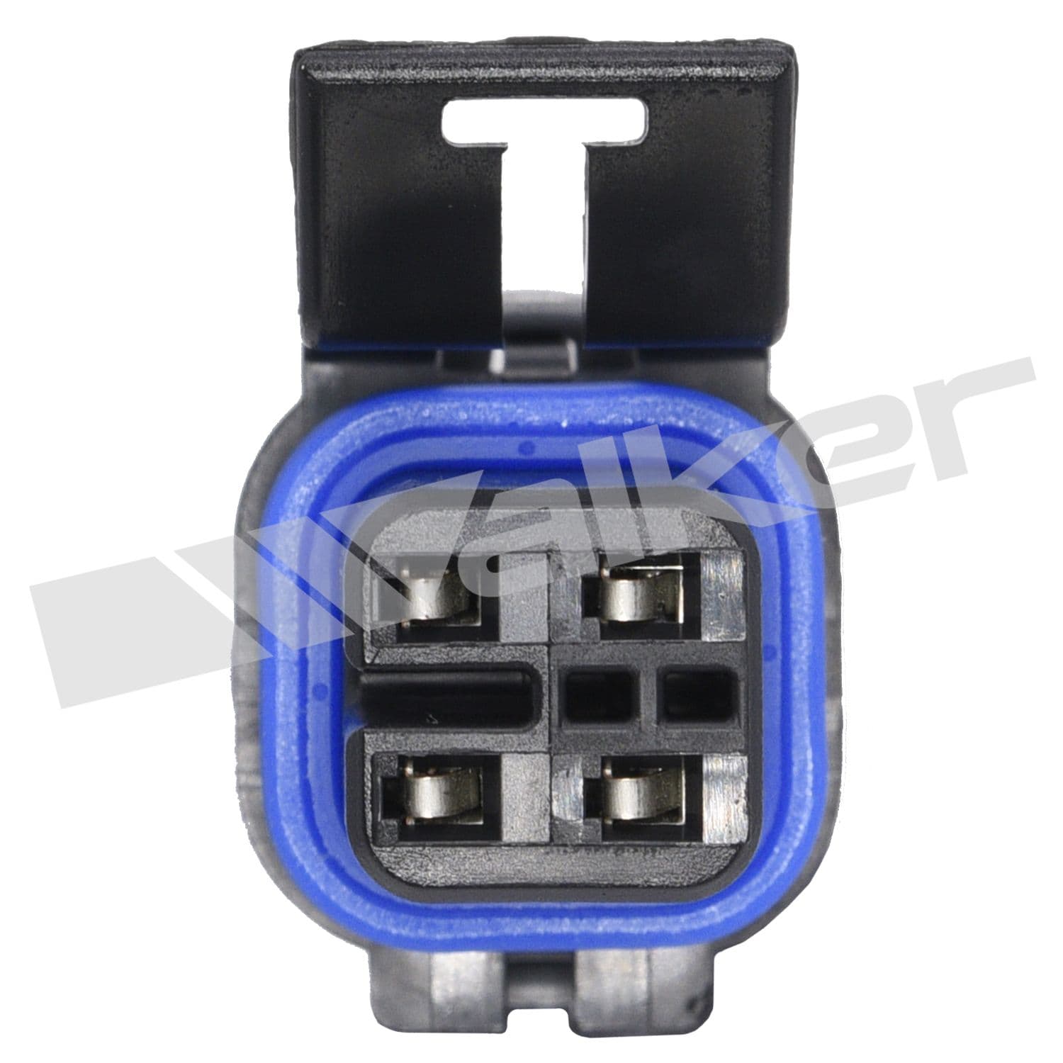 226-250-24202 - Image 4