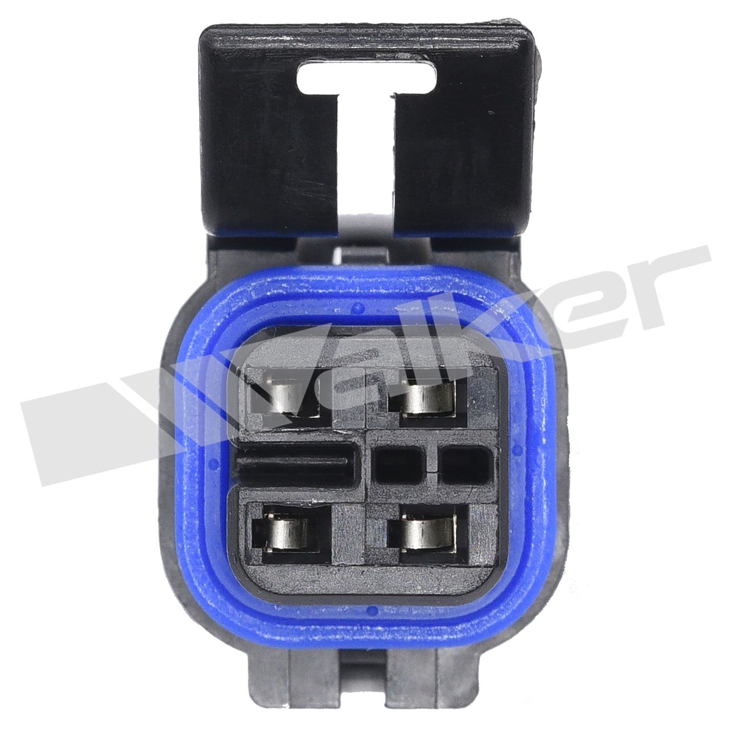 226-250-24703 - Image 3