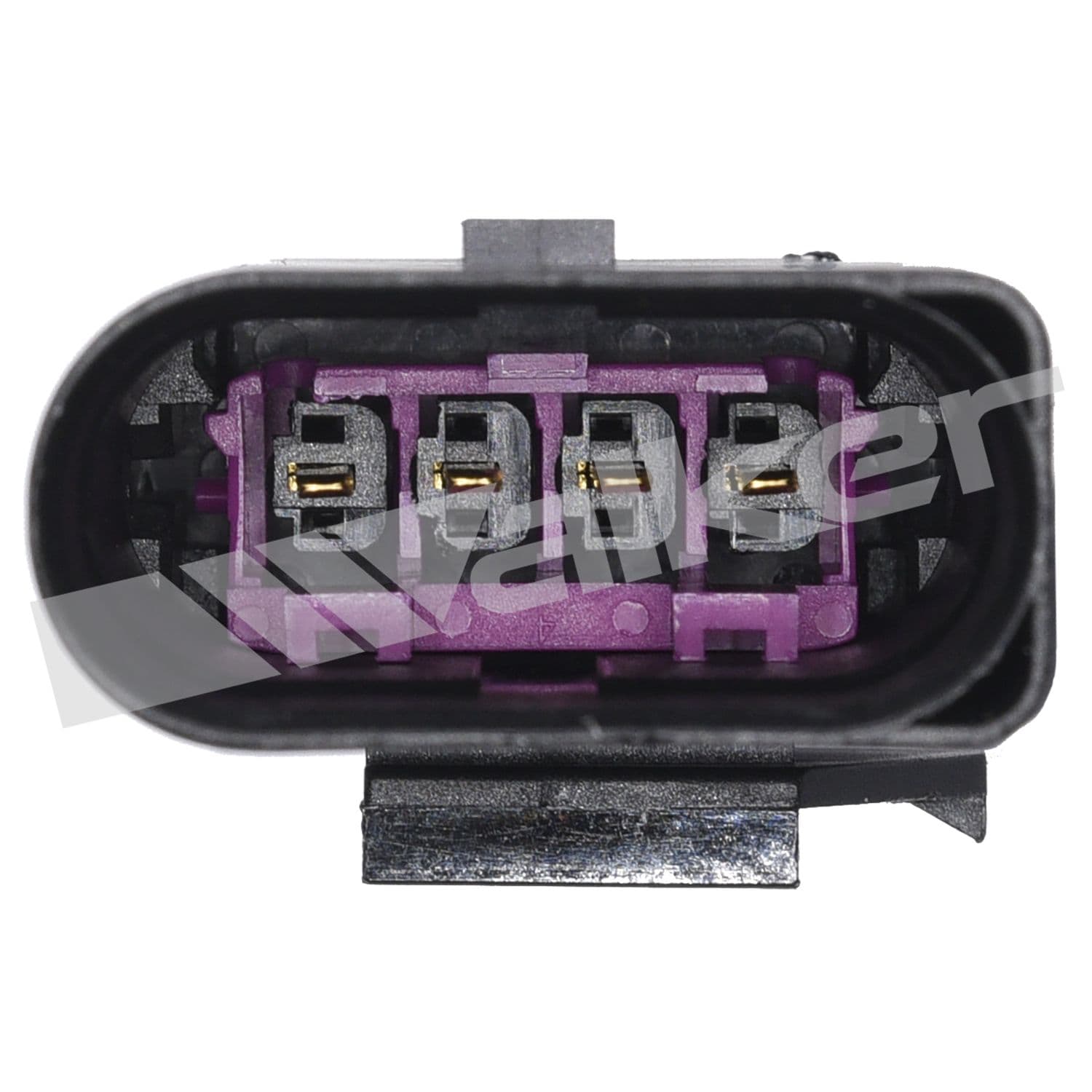 226-350-34836 - Image 2