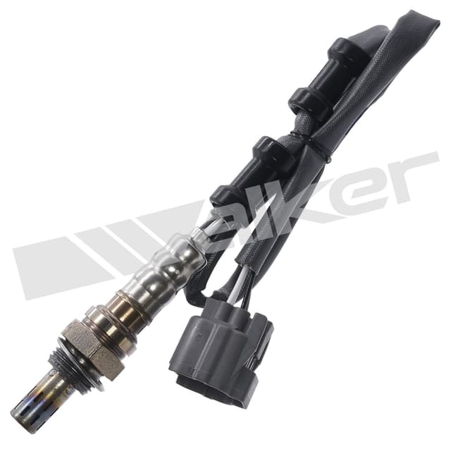 category-226-350-34362