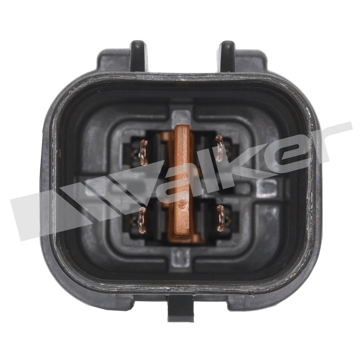 226-350-34331 - Image 2