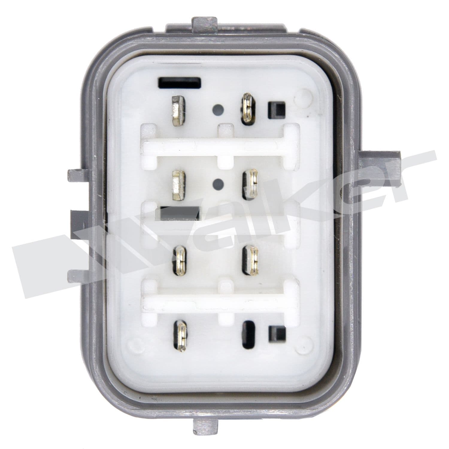 226-250-25001 - Image 4