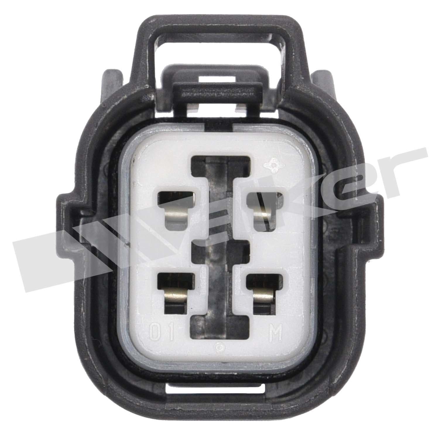 226-250-241123 - Image 2